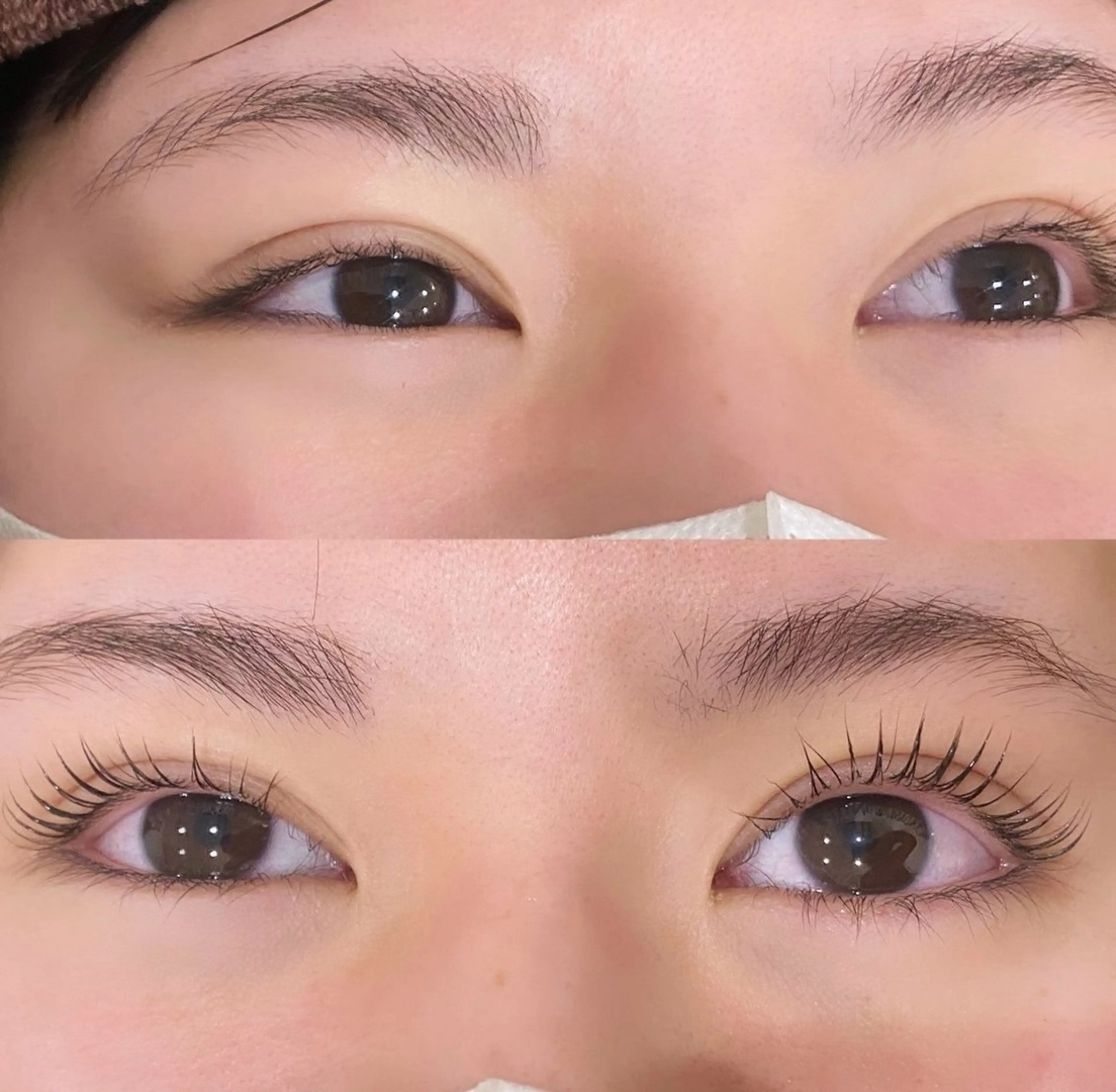 マスカラパーマの写真