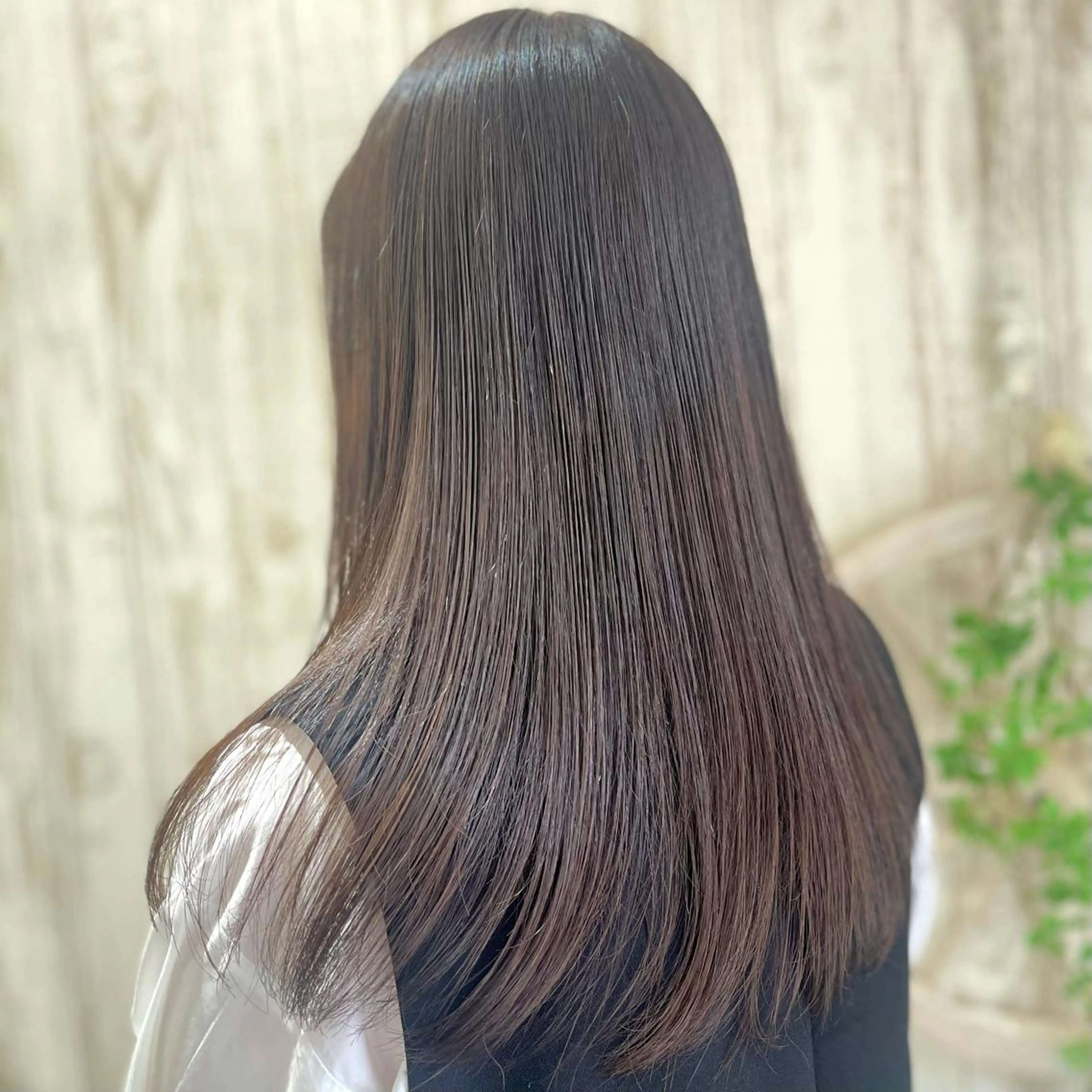 ロング カラー ブラウンカラー オリーブブラウン Emily所属・永石 知沙希の眉毛・アイブロウイメージ