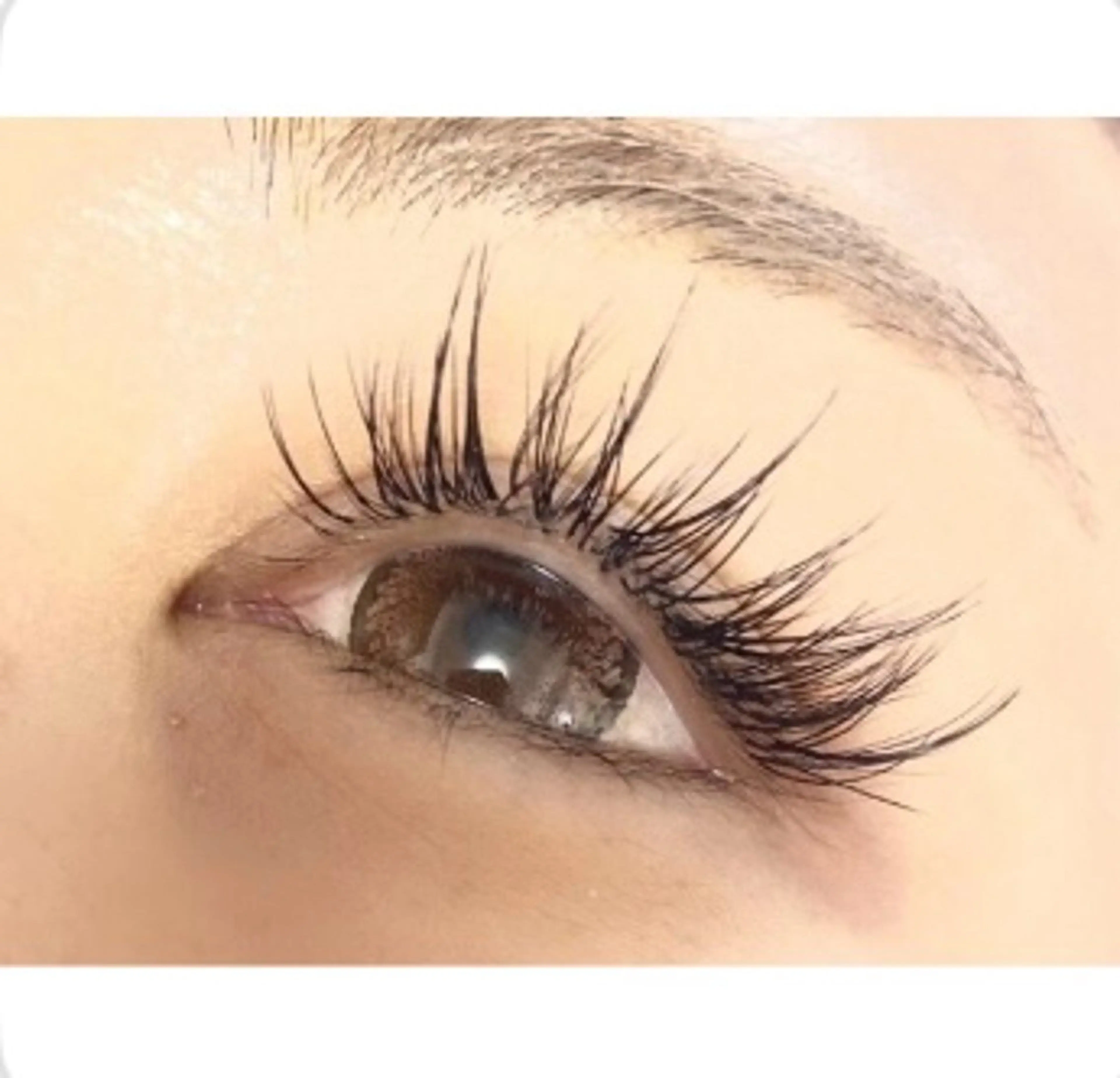 まつエク140本　1ヶ月通い放題の写真