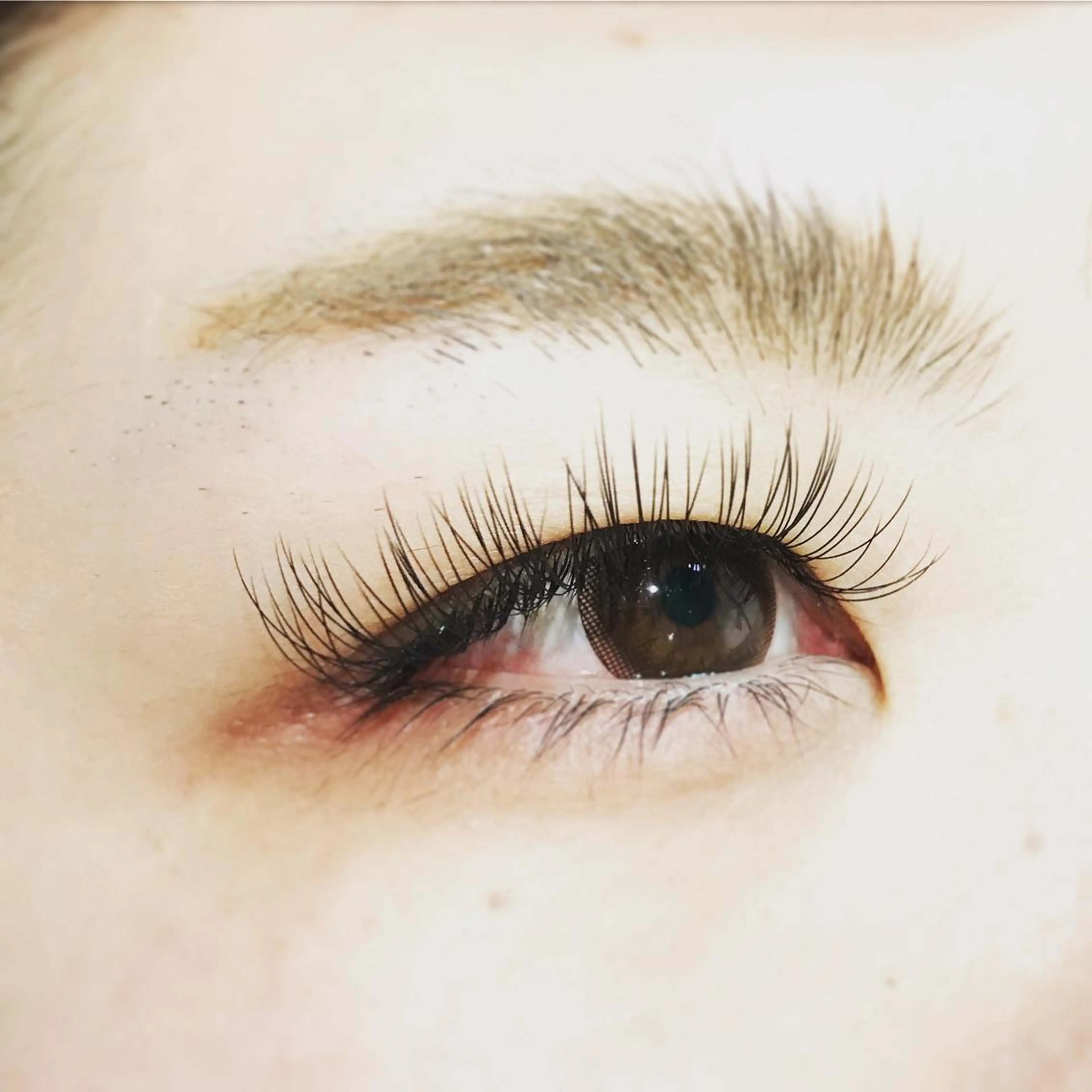 マツエク・マツパ Cカール にっくに ちひろの眉毛・アイブロウイメージ