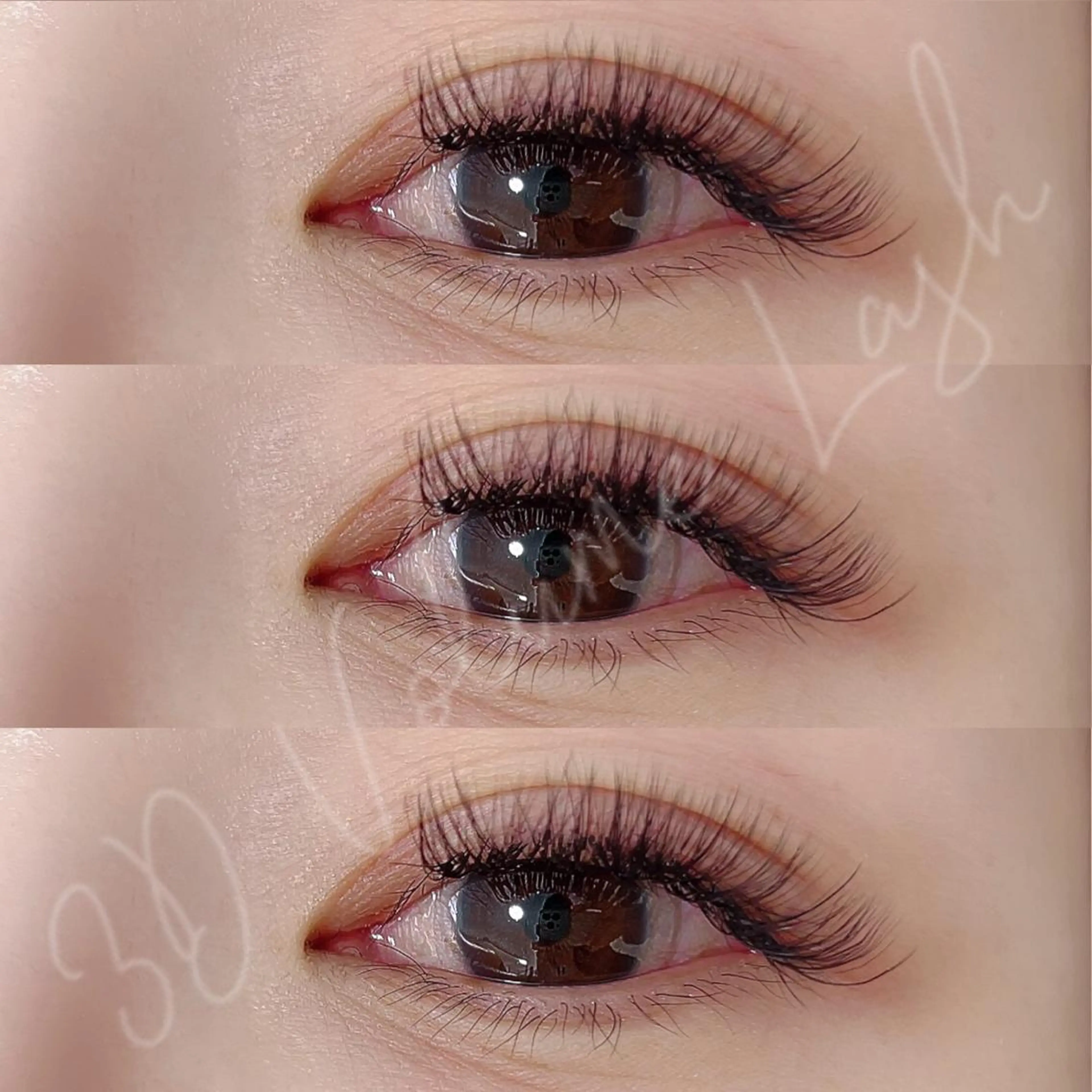 マツエク・マツパ マツエク 【Aile】 YUKAのマツエク・マツパデザイン