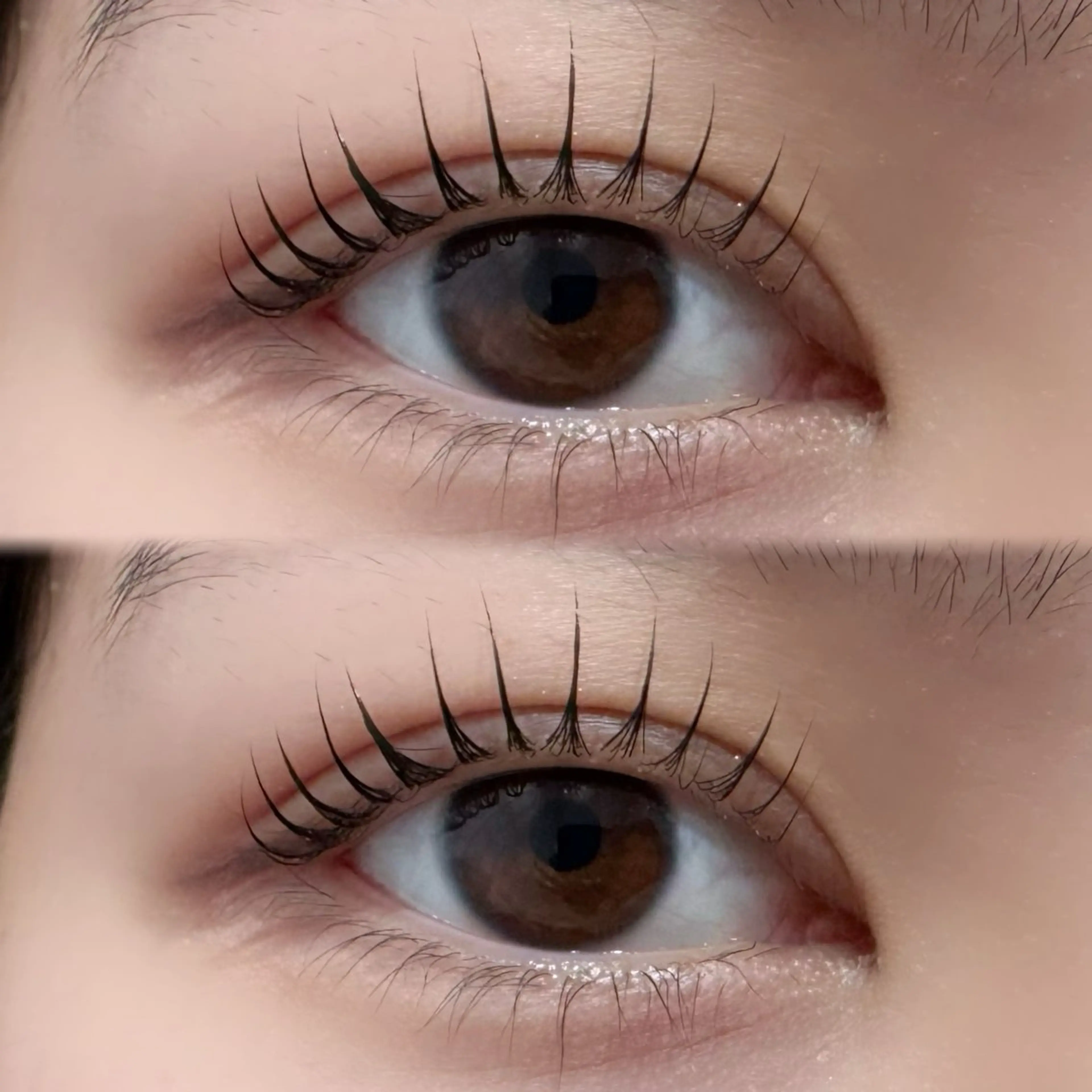 🤍パリジェンヌラッシュリフト🤍（トリートメント付き）の写真