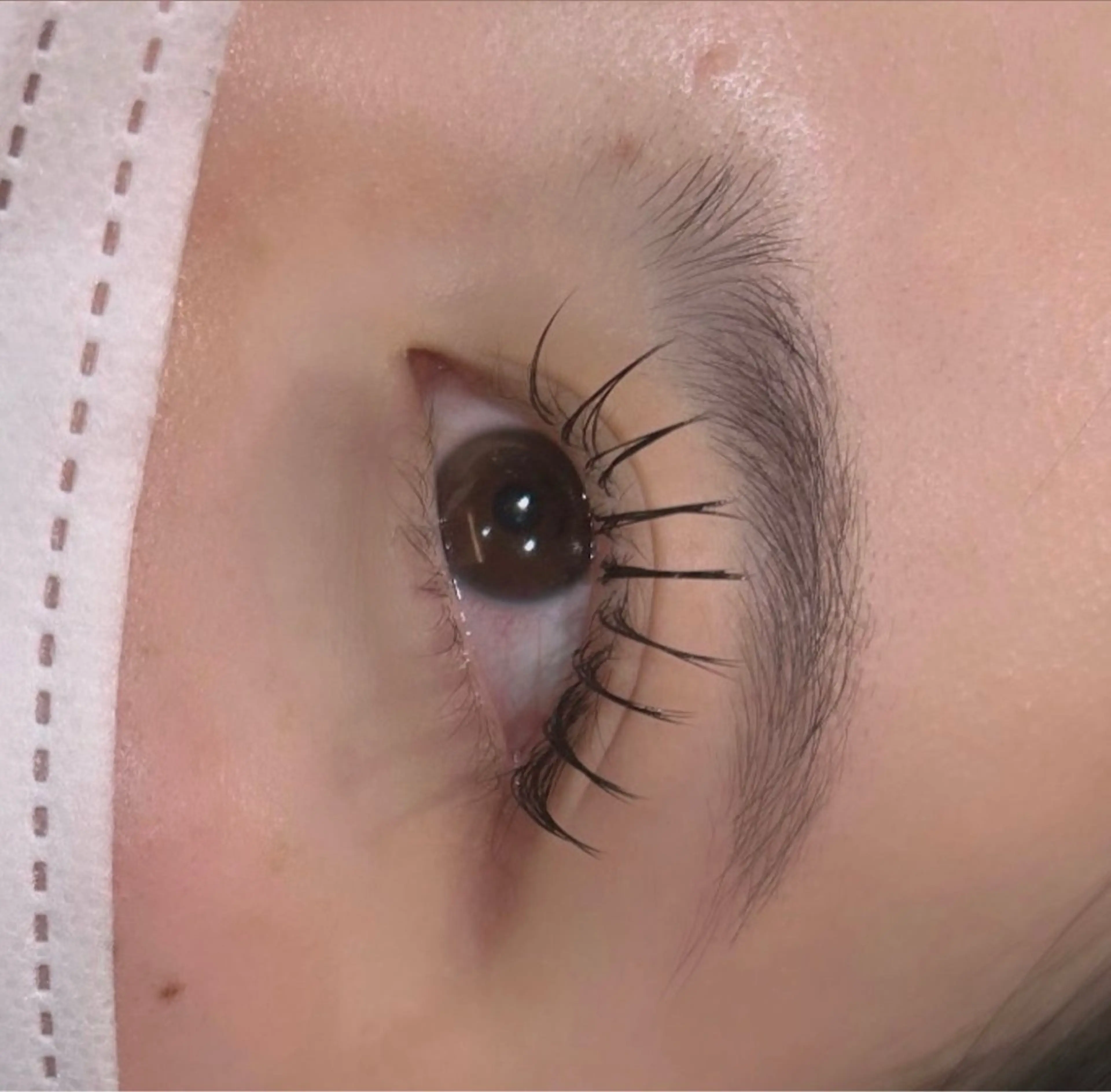 マツエク・マツパ マツエク hair&eye🎀 /momoKaのマツエク・マツパデザイン