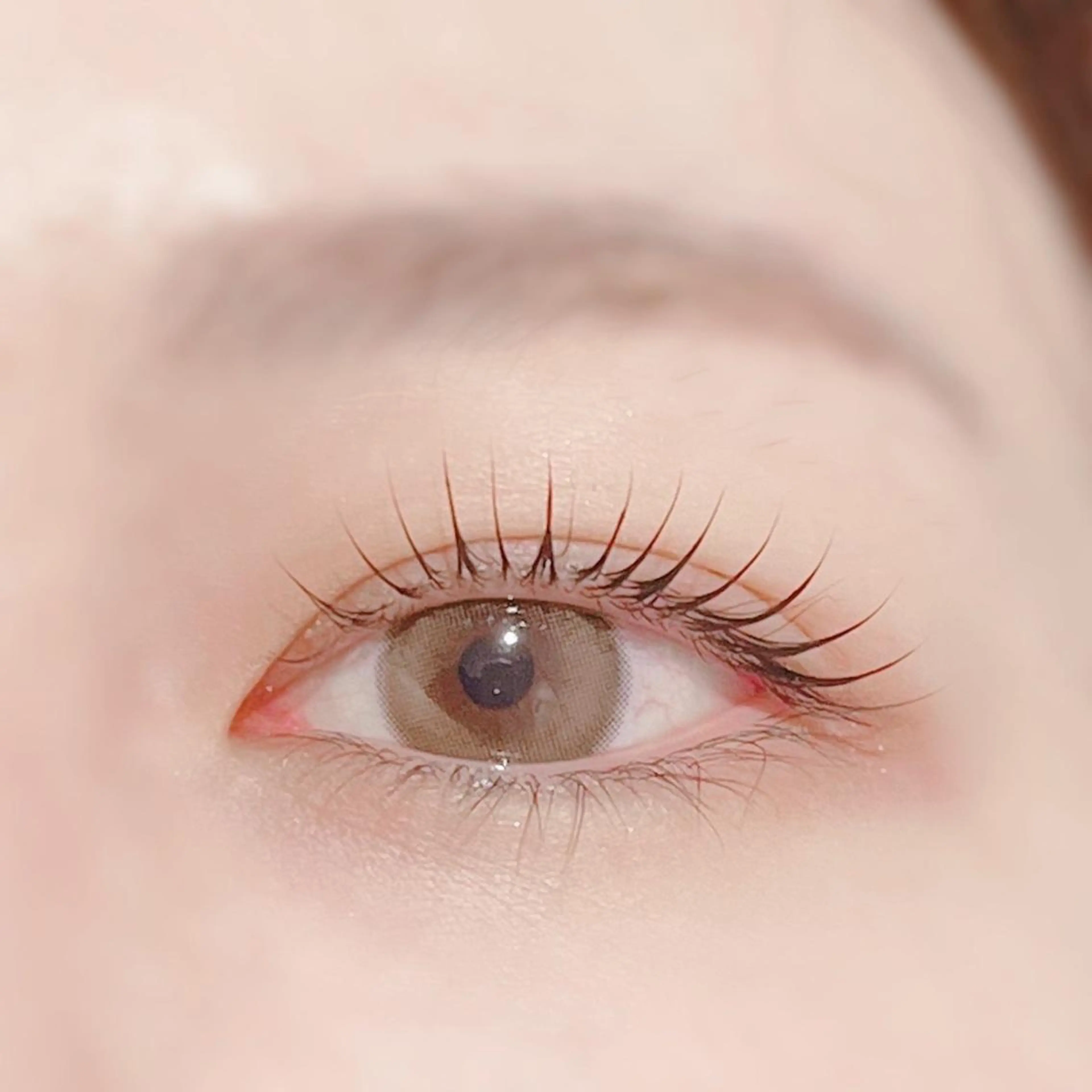 マツエク・マツパ まつげパーマ マツパ Biolus／天王寺 本店 🔸YUI🔸のマツエク・マツパデザイン