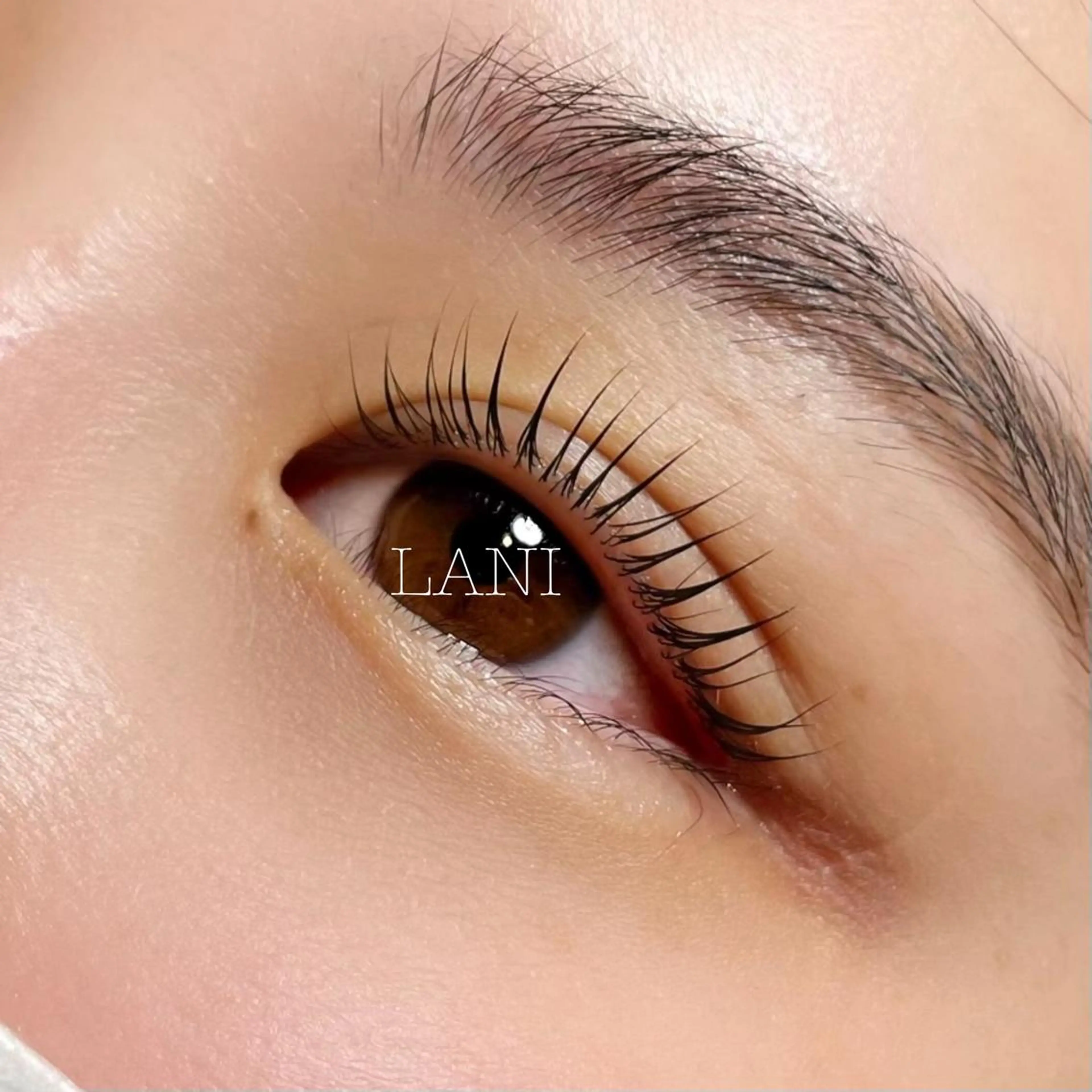 マツエク・マツパ MAKE UP LANI所属・MAKE UP LANI🌼安達の眉毛・アイブロウイメージ