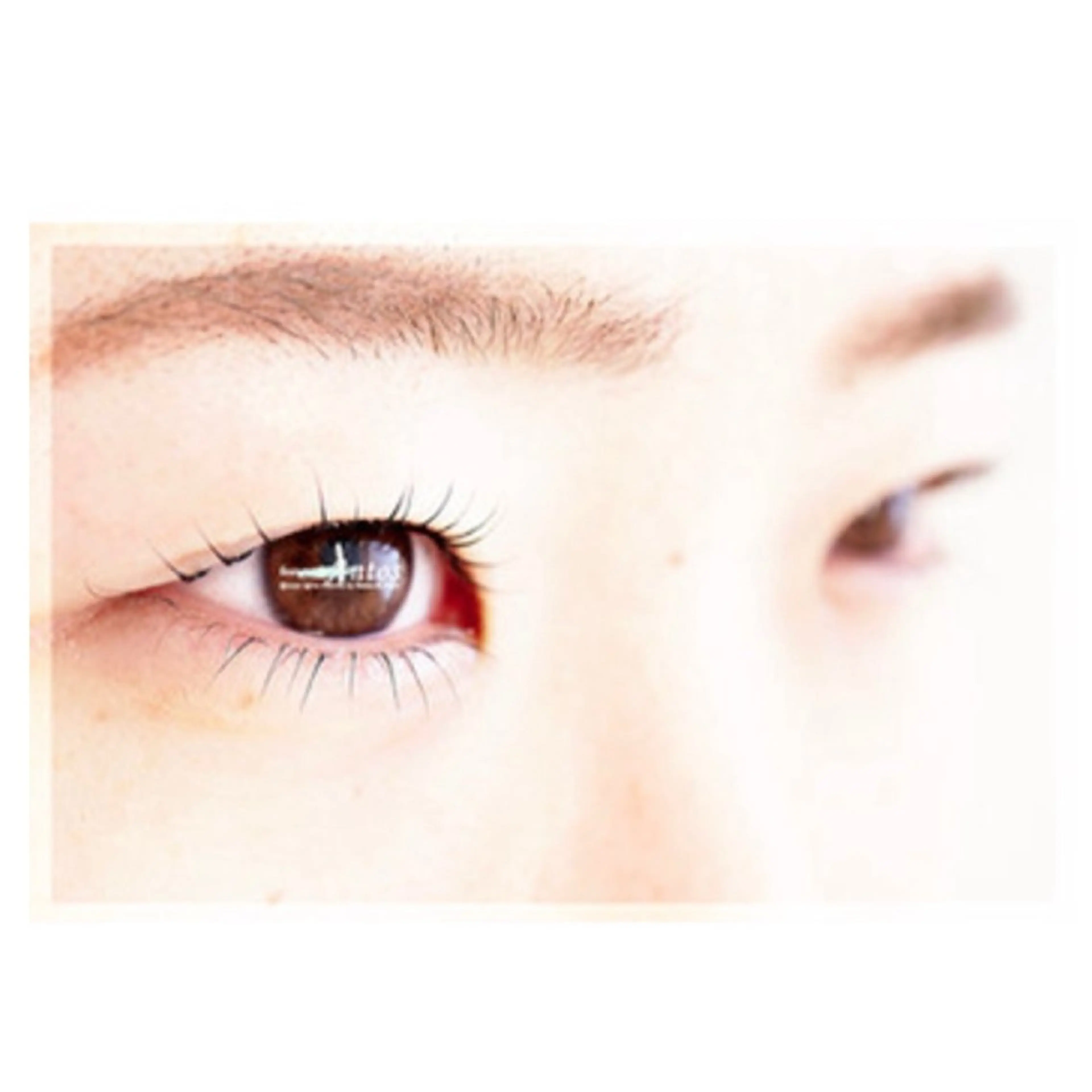 マツエク・マツパ まつげパーマ 一重×まつ毛パーマ マツパ まつげ&眉毛専門店 アントスstaffのマツエク・マツパデザイン