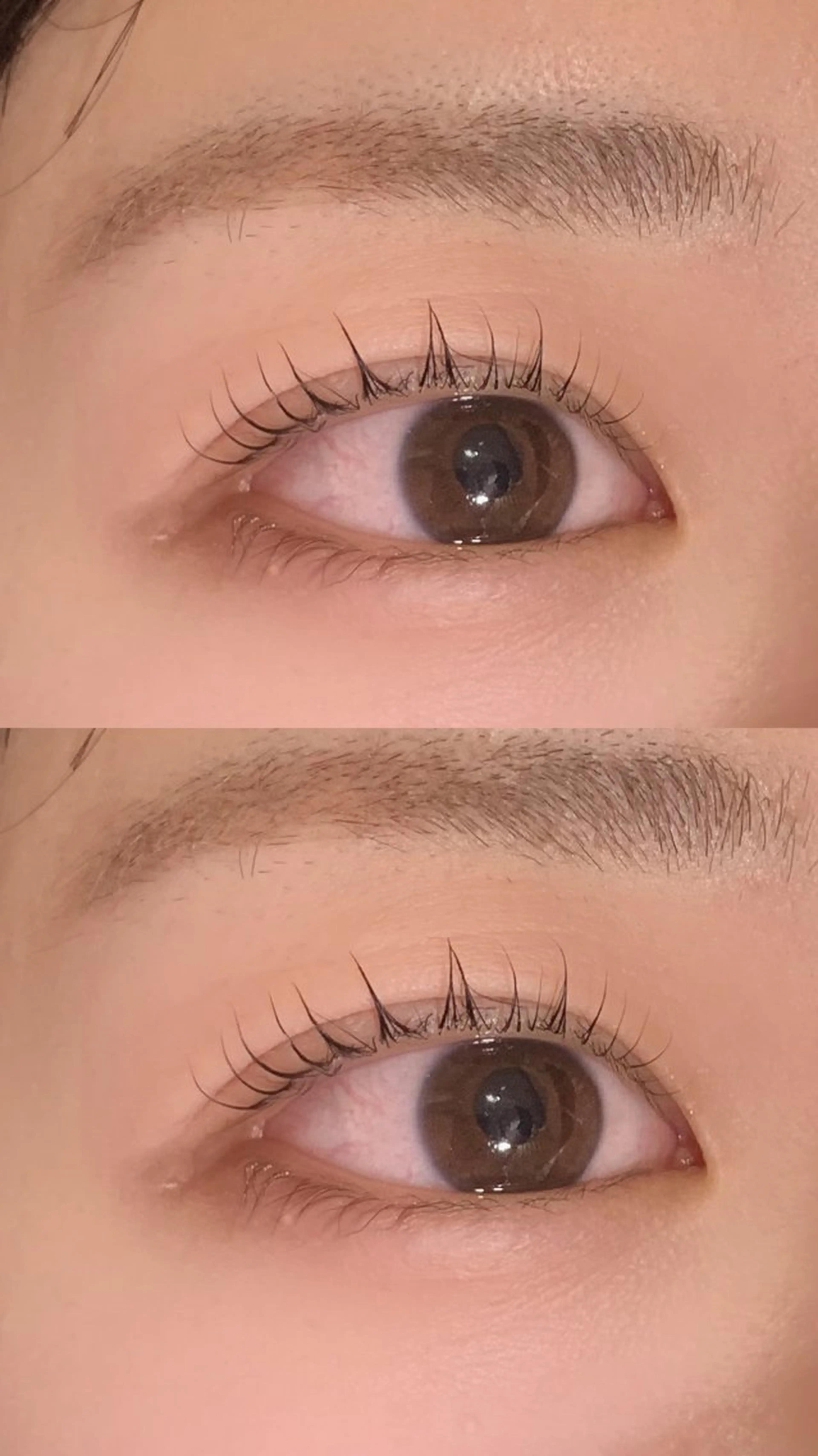 まつ毛パーマ回数券の写真