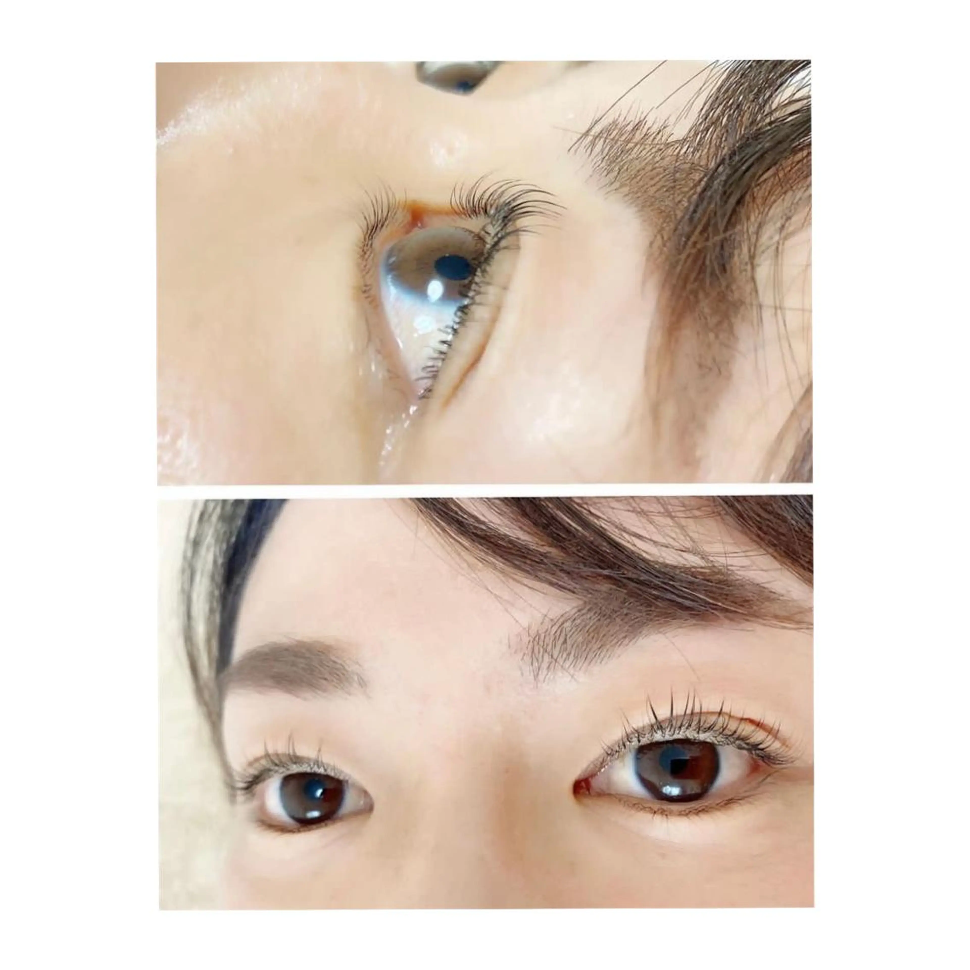 パリジェンヌラッシュリフトの写真