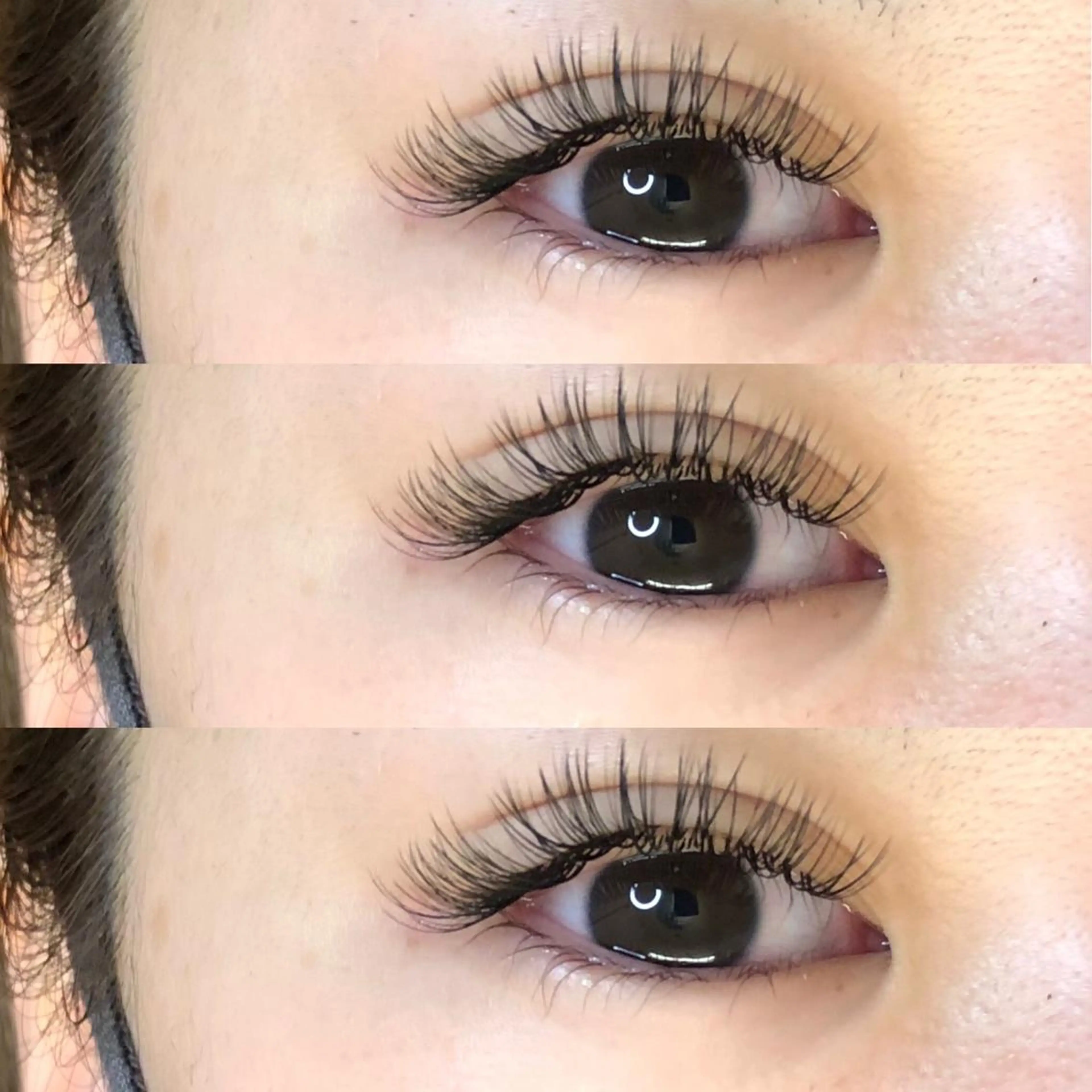 マツエク・マツパ CAMELLIA カメリアのマツエク・マツパデザイン