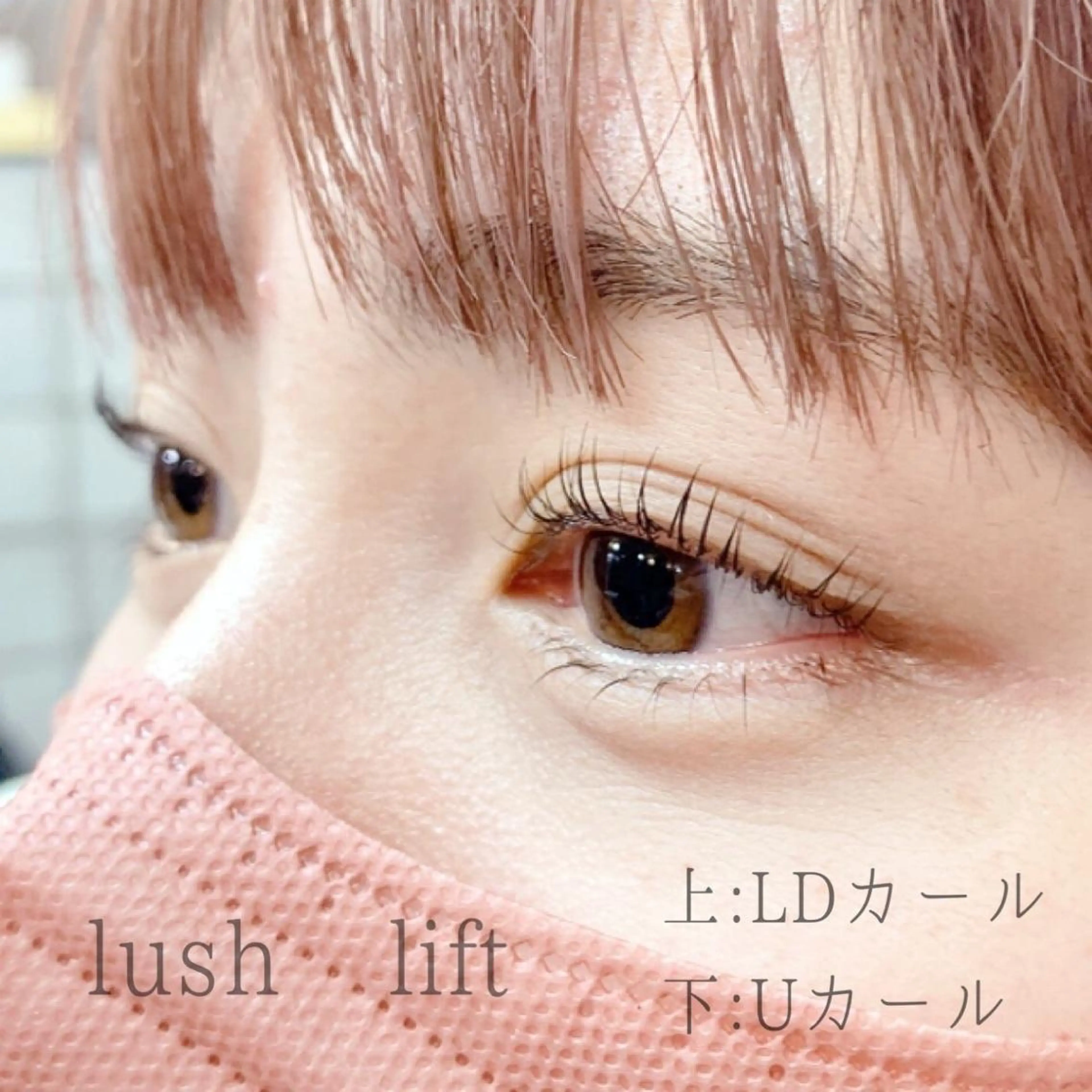 【初回限定】上下まつ毛カール(上はパリジェンヌorラッシュリフト、下はラッシュリフト)の写真
