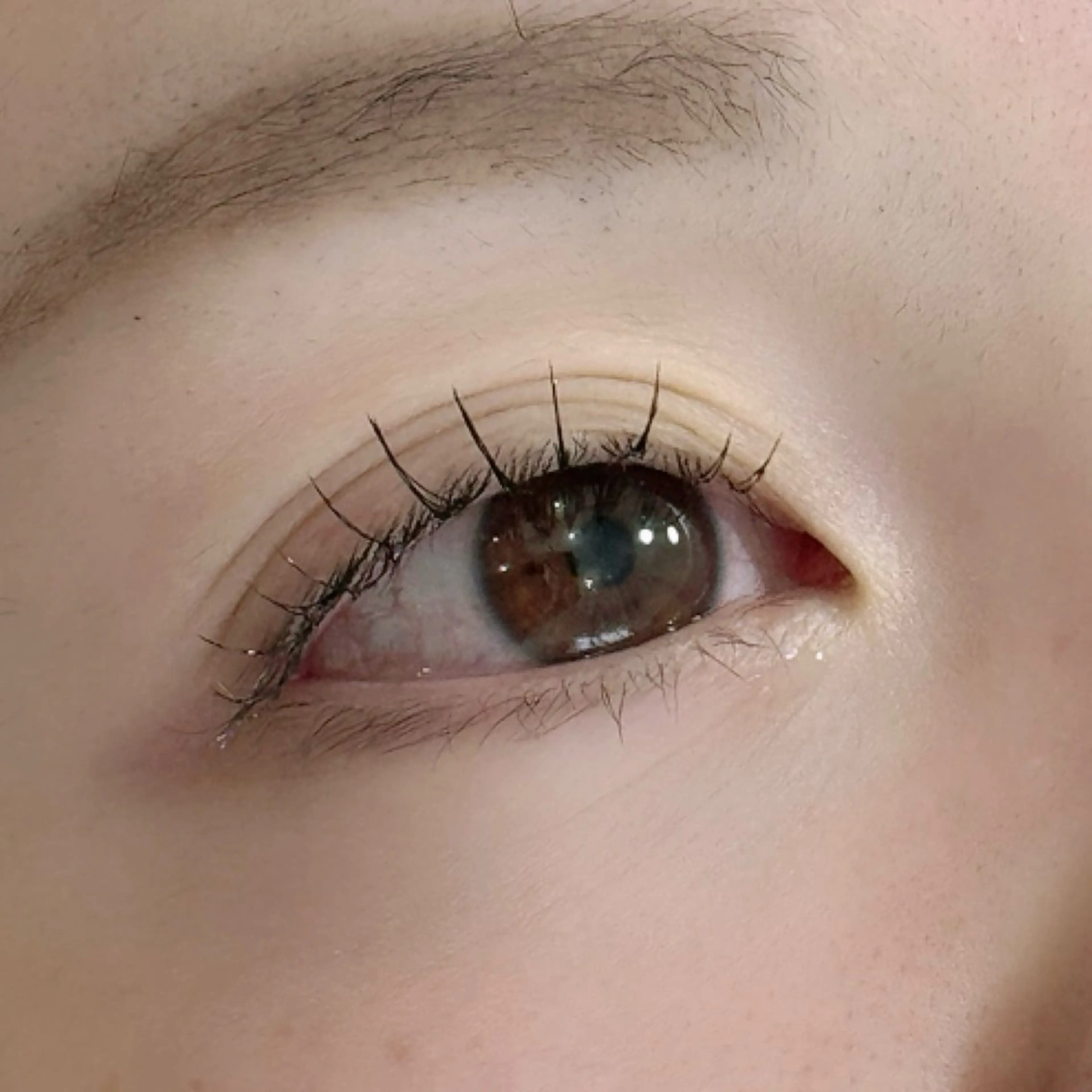 フラットラッシュ  80本の写真