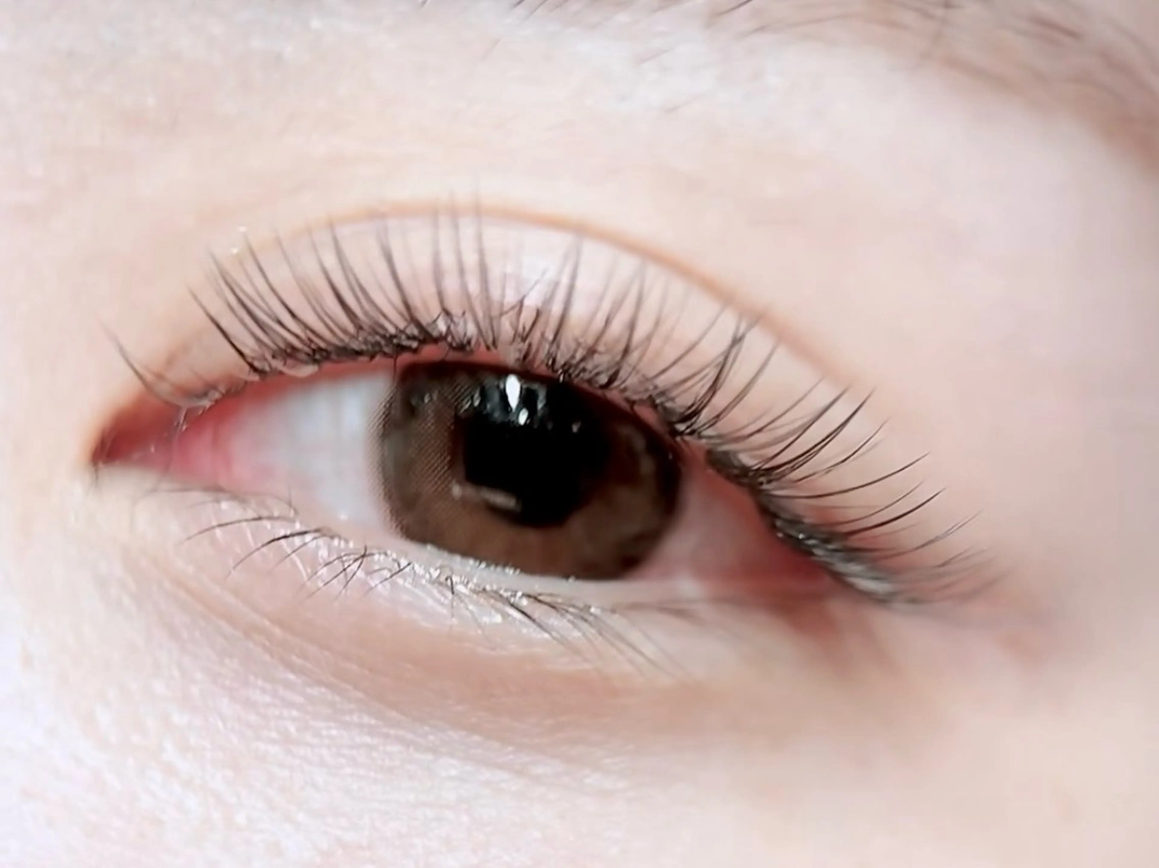 🦋【2週間以内限定】🦋60本付け足し※オフなしの写真