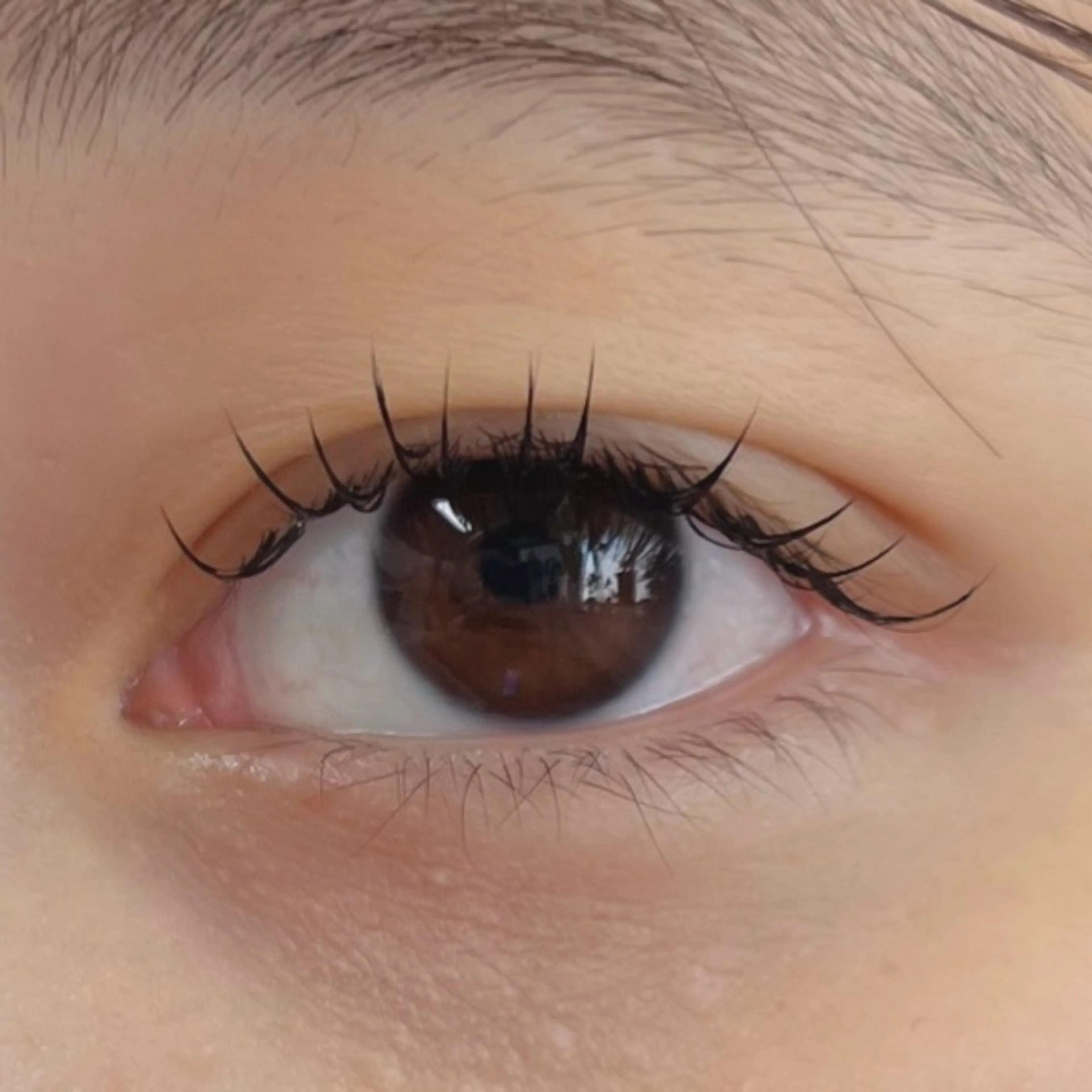 マツエク・マツパ 束感まつ毛 フラットラッシュ Moe/韓国風/ 束感/キュート❤︎のマツエク・マツパデザイン