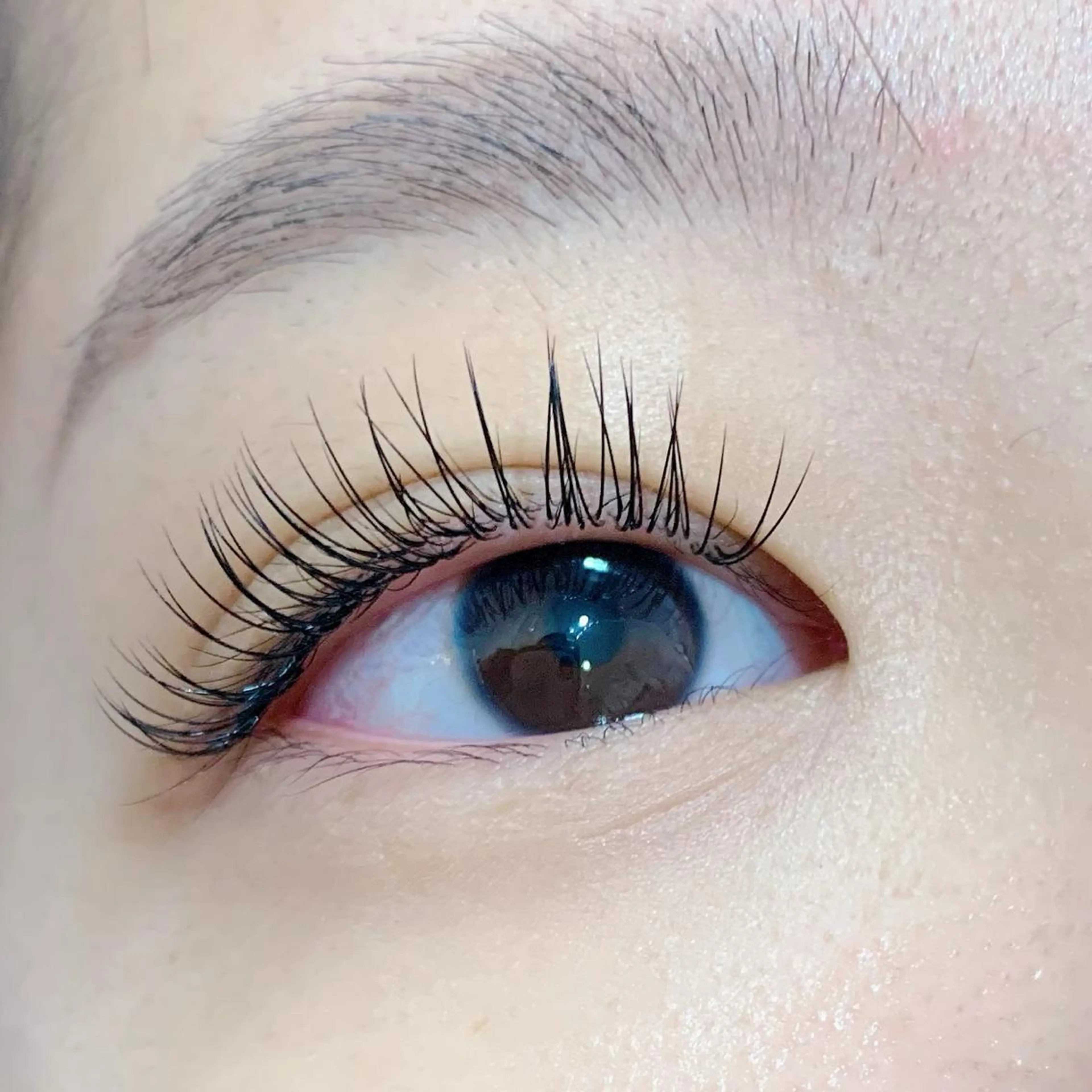 マツエク・マツパ Cカール キュート ミンク 池袋駅韓国風🇰🇷 束感💗Tomoのマツエク・マツパデザイン