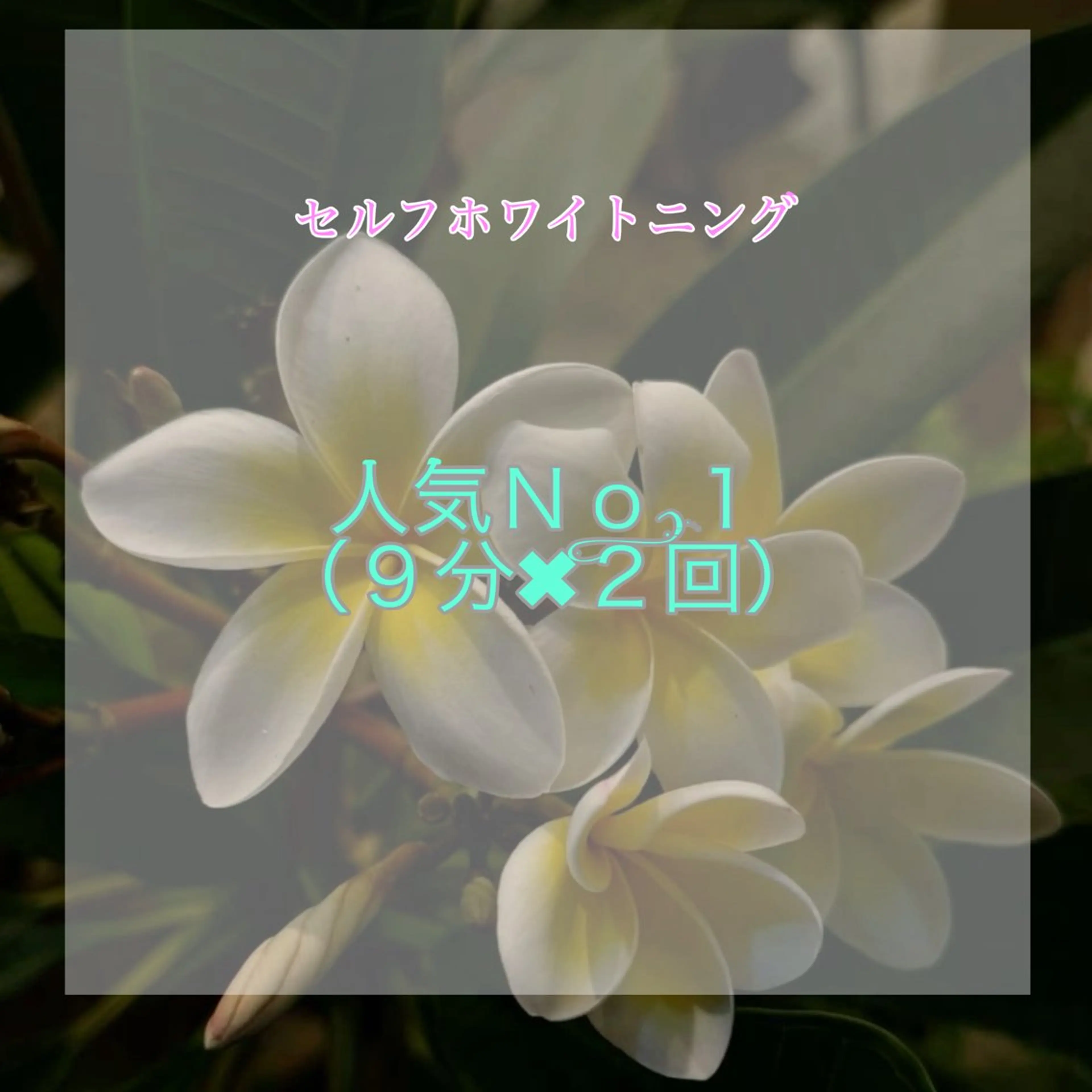 <人気No.1> 強力 セルフホワイトニング                      (9分×2セット)1回2980円の写真