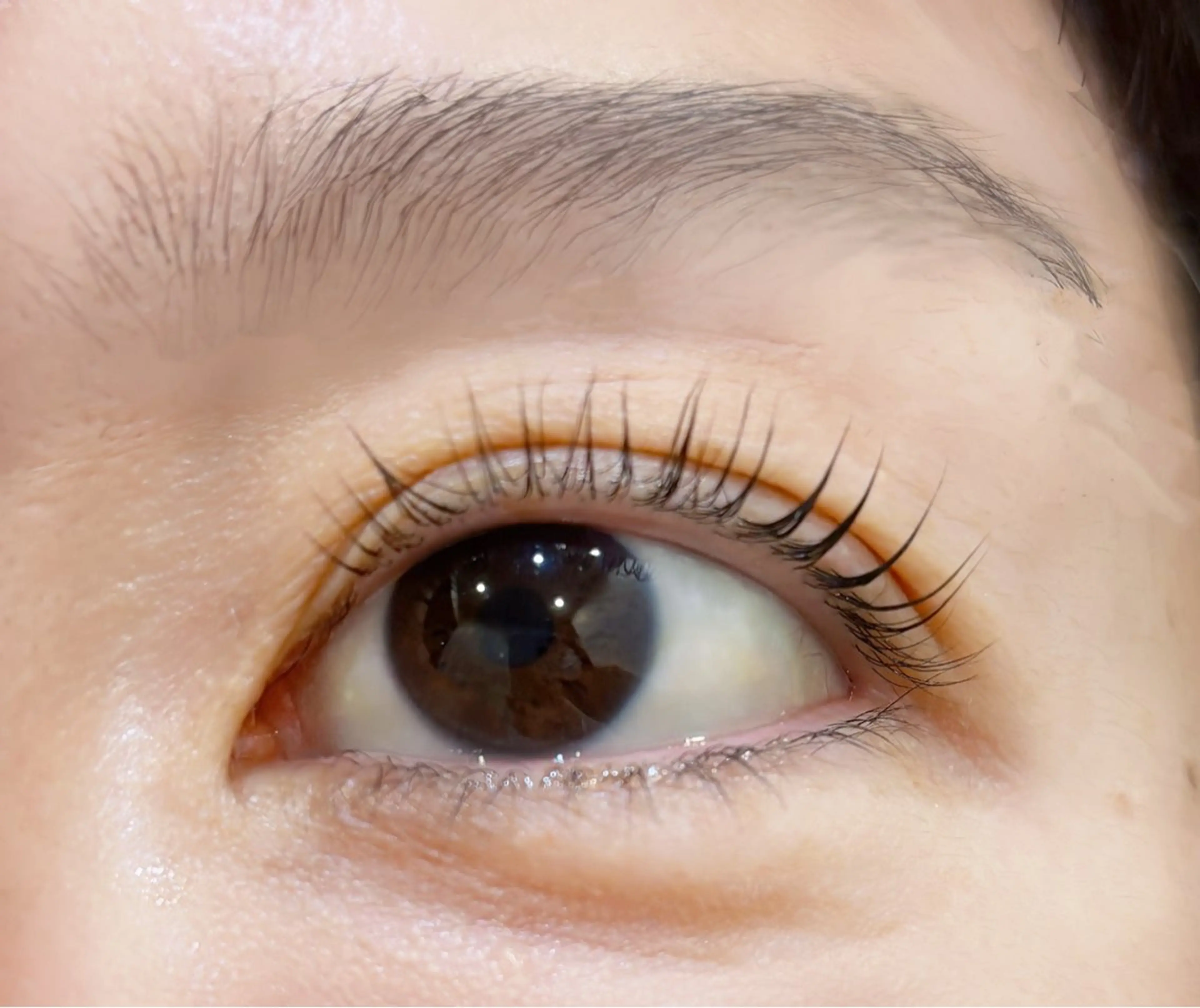 マツエク・マツパ パリジェンヌラッシュリフト Embellir所属・Embellir NANAのマツエク・マツパデザイン