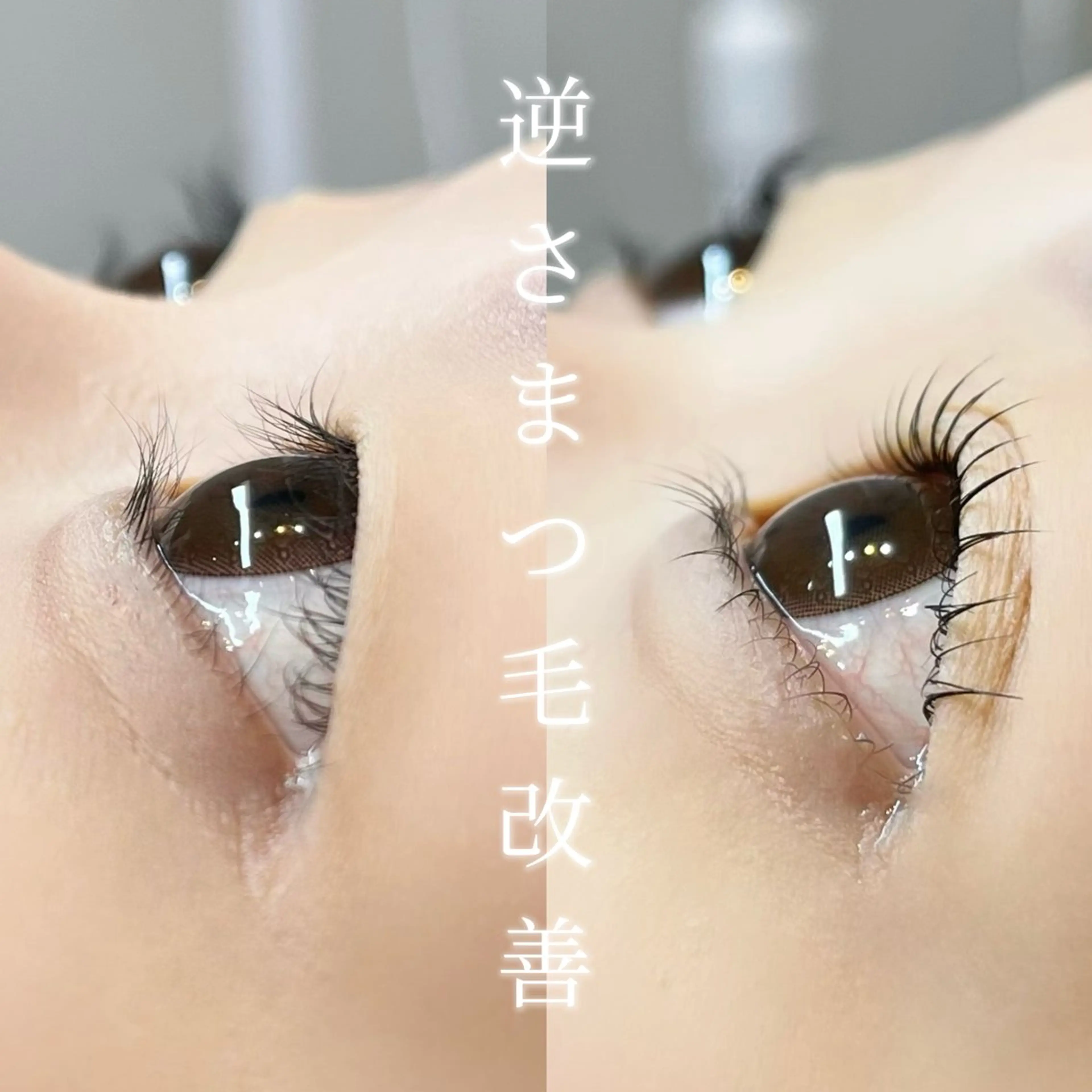 マツエク・マツパ マツパ Bella Luna所属・〖那覇/ベラルーナ〗 sanaの眉毛・アイブロウイメージ