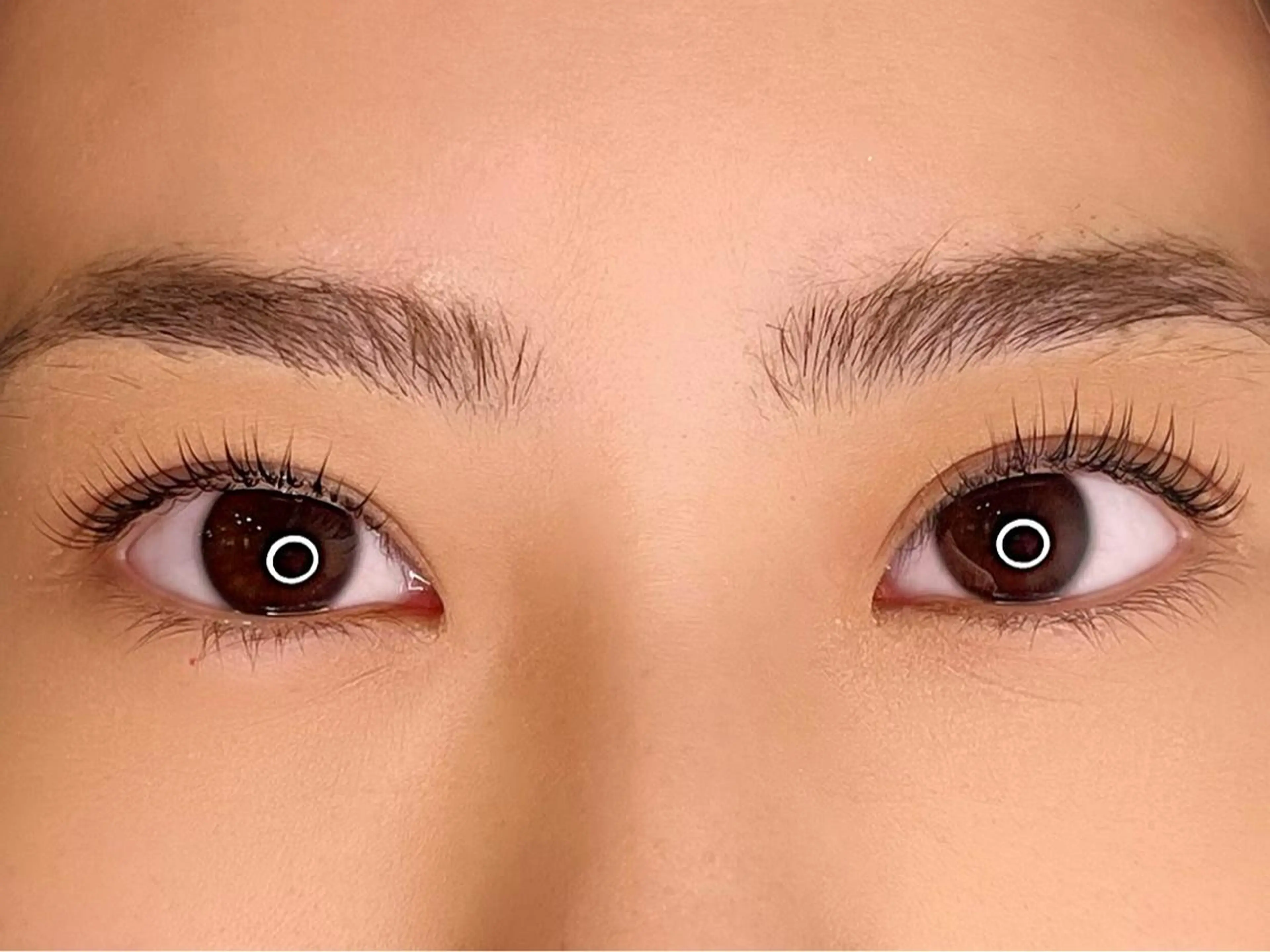 パリジェンヌラッシュリフト【アイシャンプー&トリートメント付き】の写真