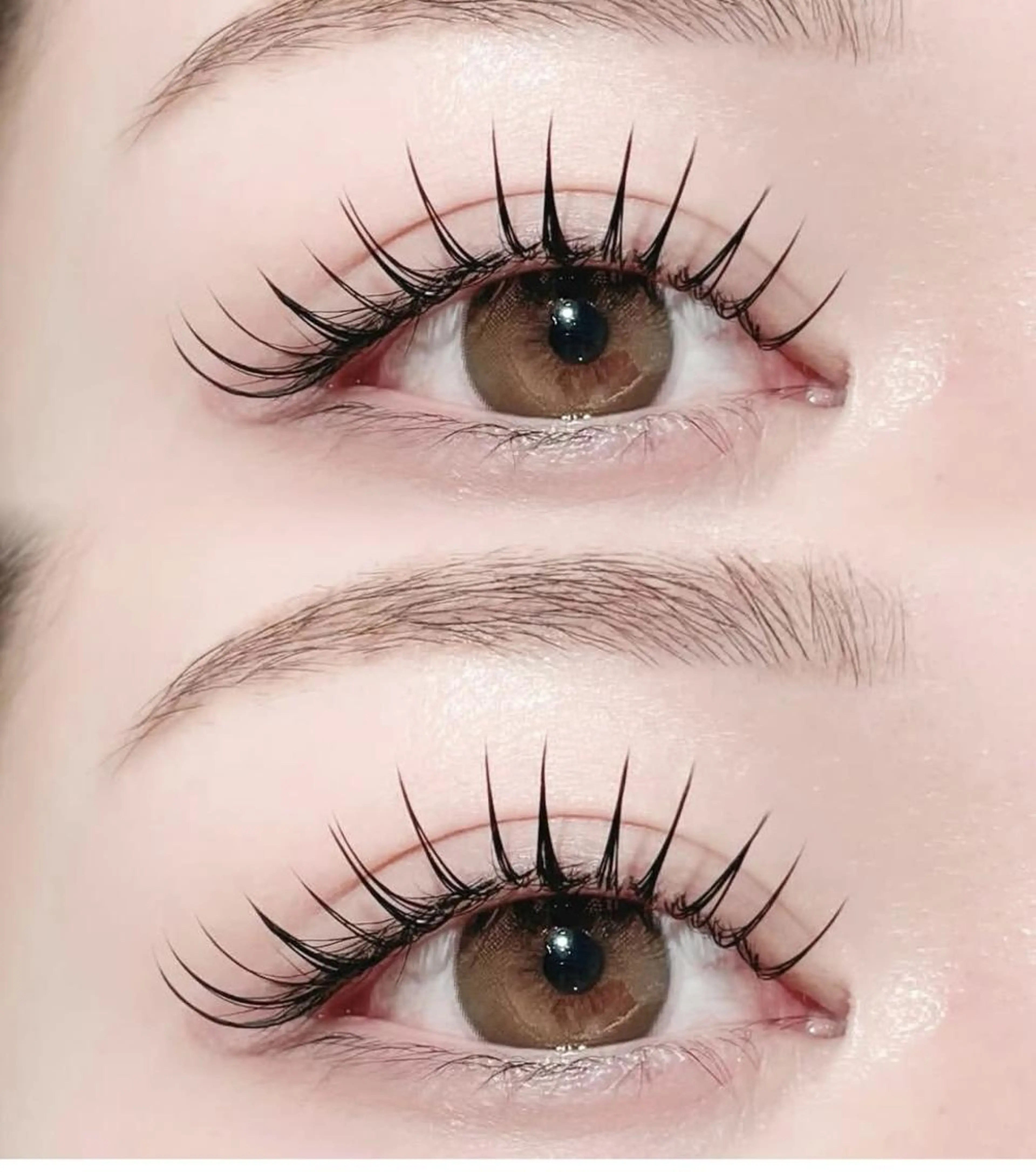 🌹Wフラットラッシュ100束¥6500円(LED+1100)#池袋#マツエク#Wフラットラッシュ#マツパ#まつげパーマの写真