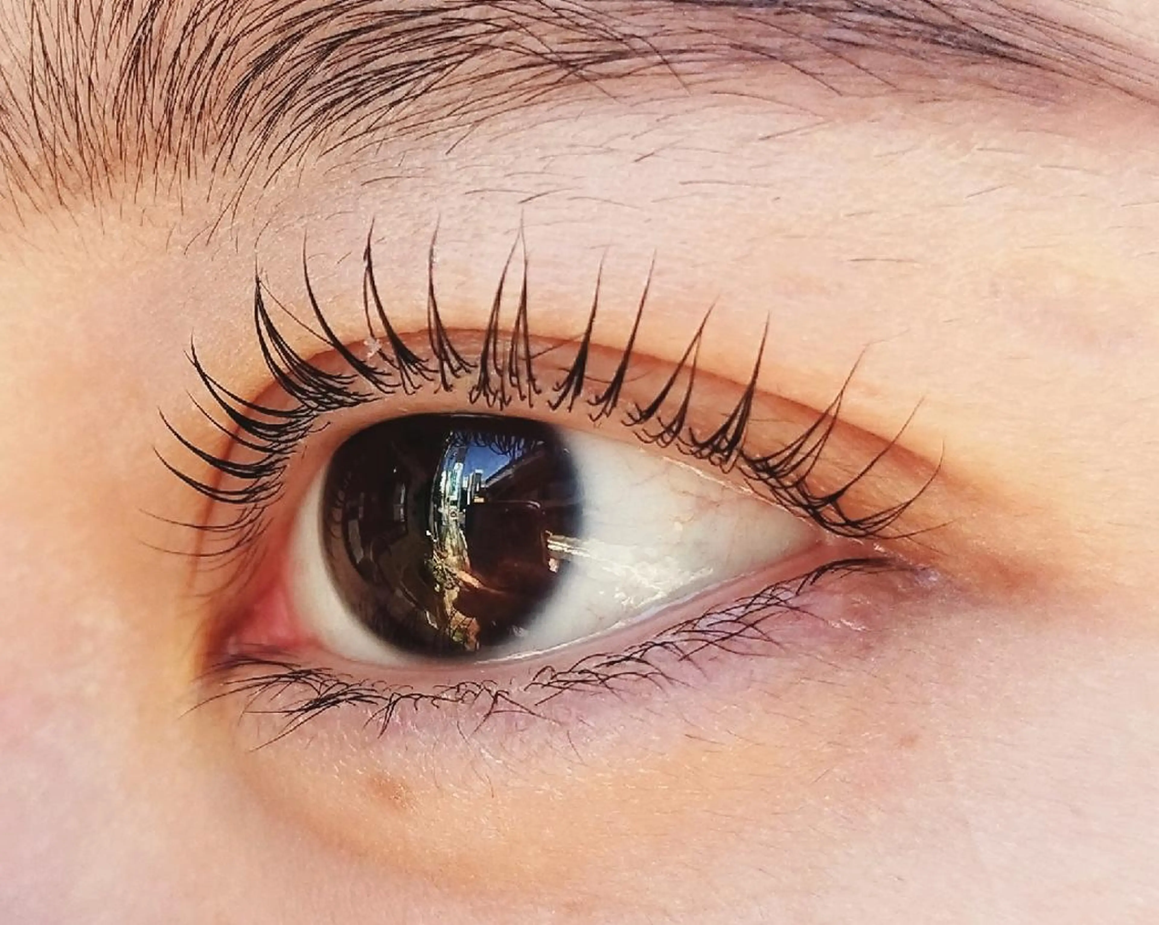 マツエク・マツパ Porte都立大学 🕊️✨のヘアスタイル