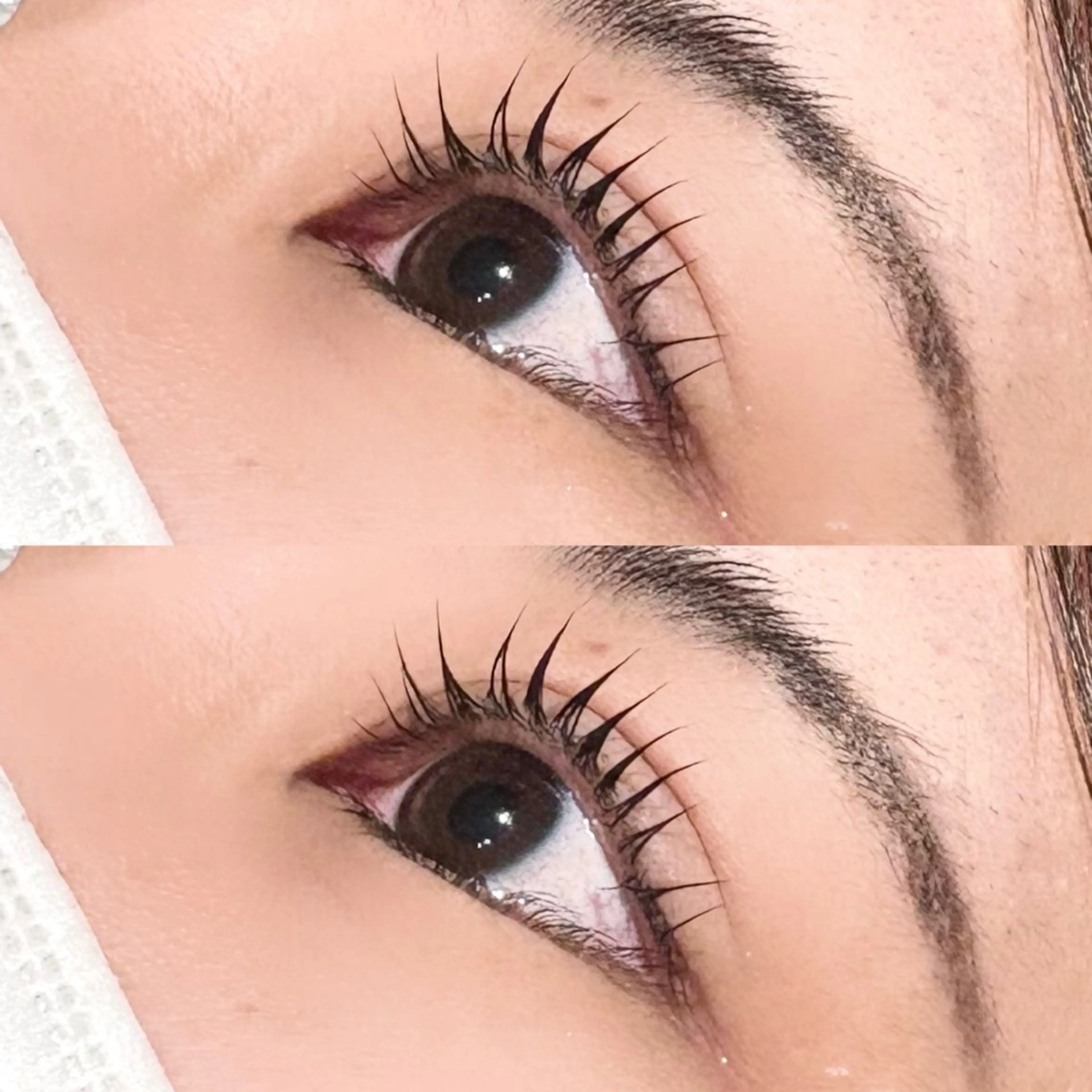 【🎀お得なセットクーポン🎀】ぱっちりまつパ🪄➕美眉アイブロウワックス🥣の写真