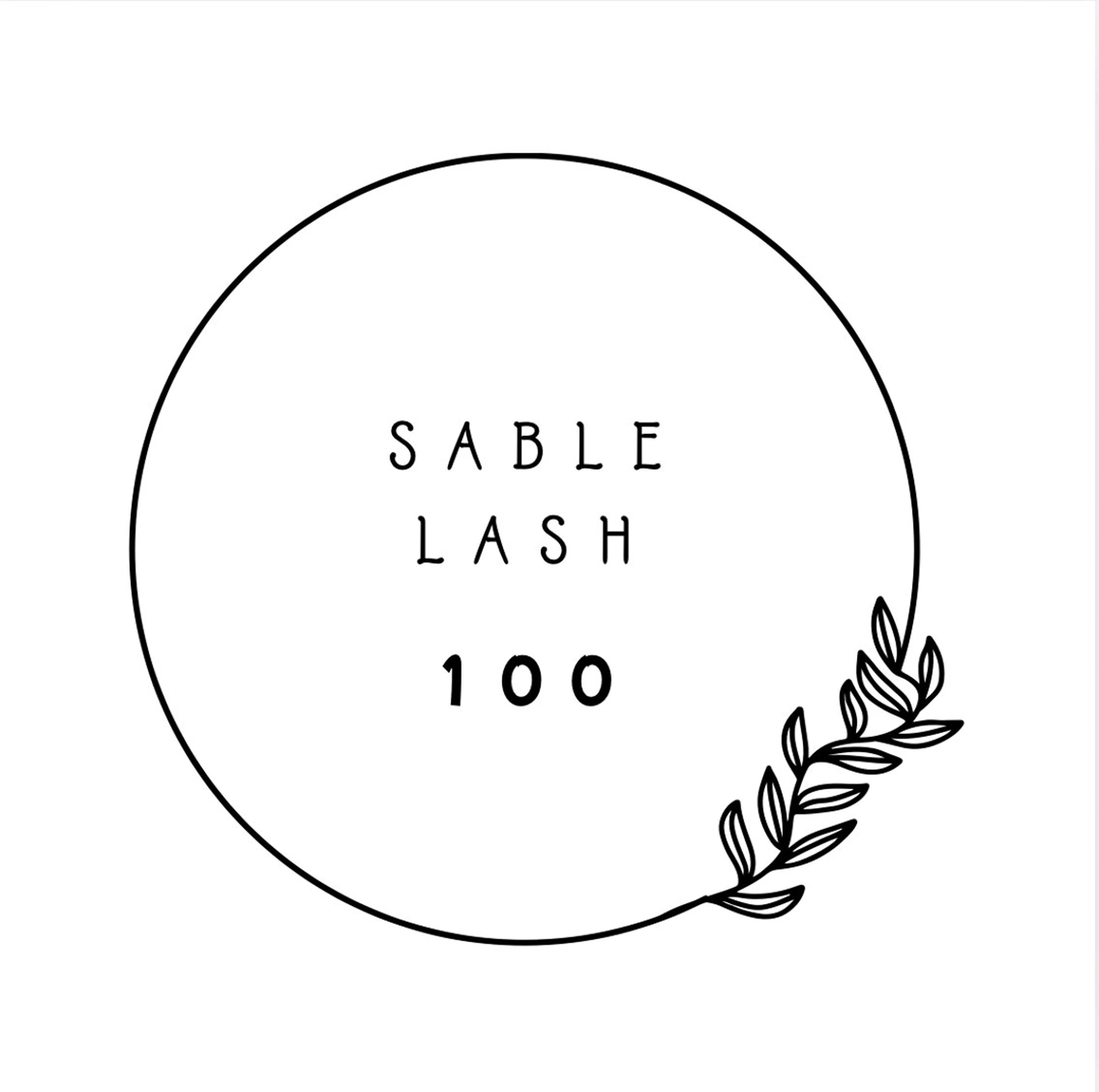 セーブル100の写真