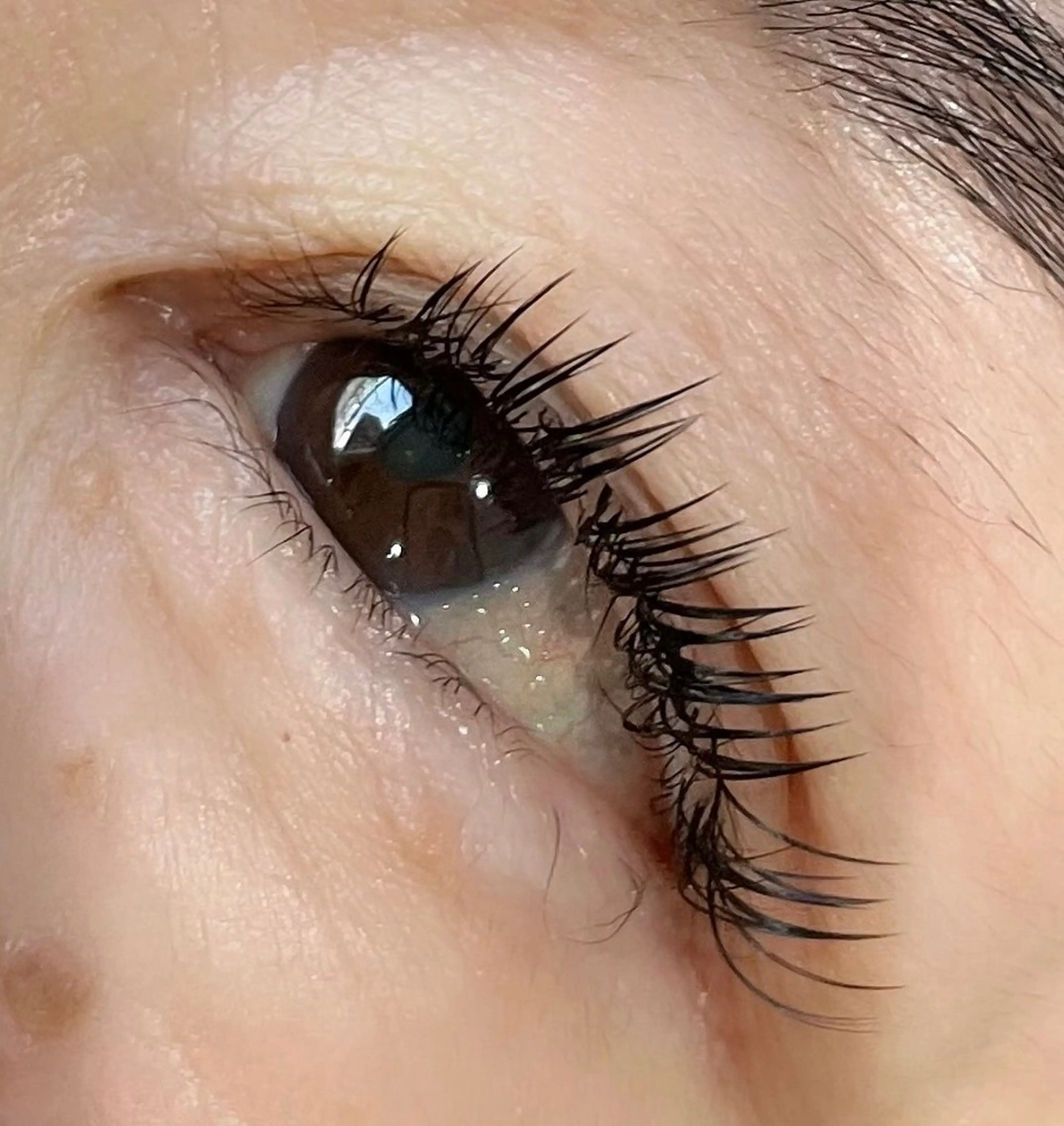 マツエク・マツパ 付け放題 Koti sakai mayuのマツエク・マツパデザイン