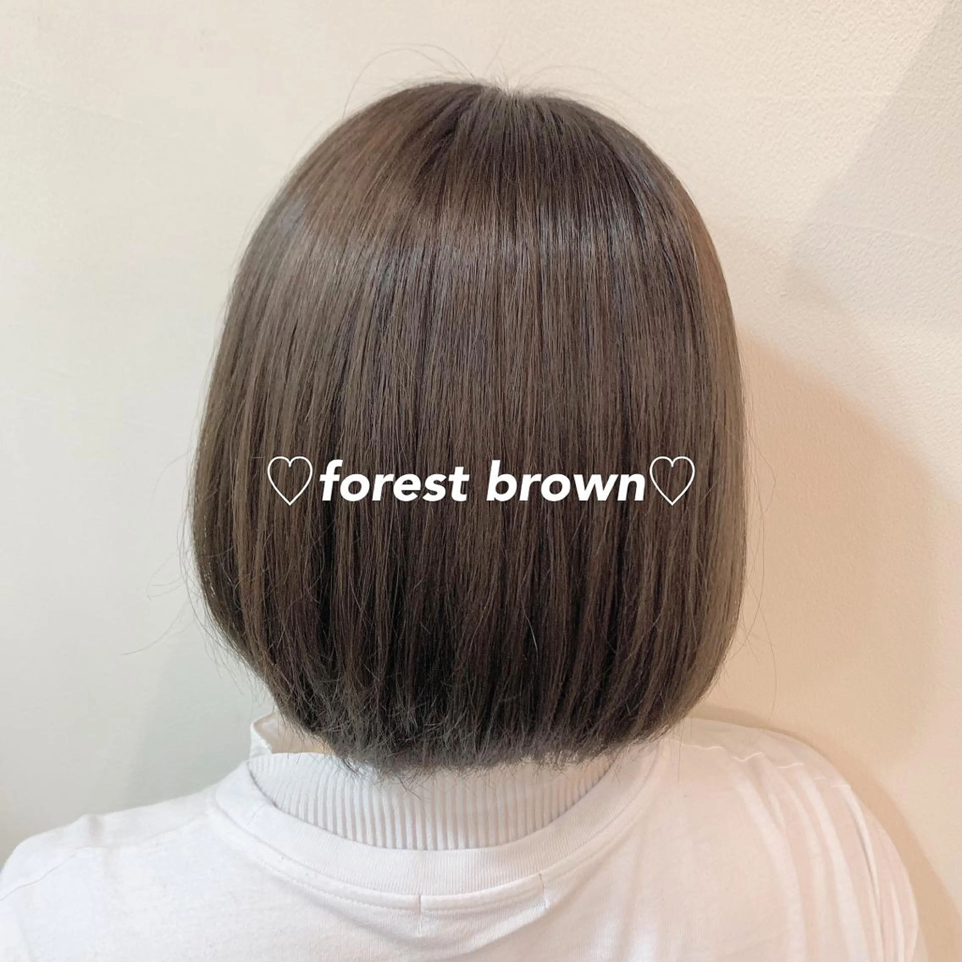 ミディアム ショートヘアとカラー の専門家/もりしーのヘアスタイル