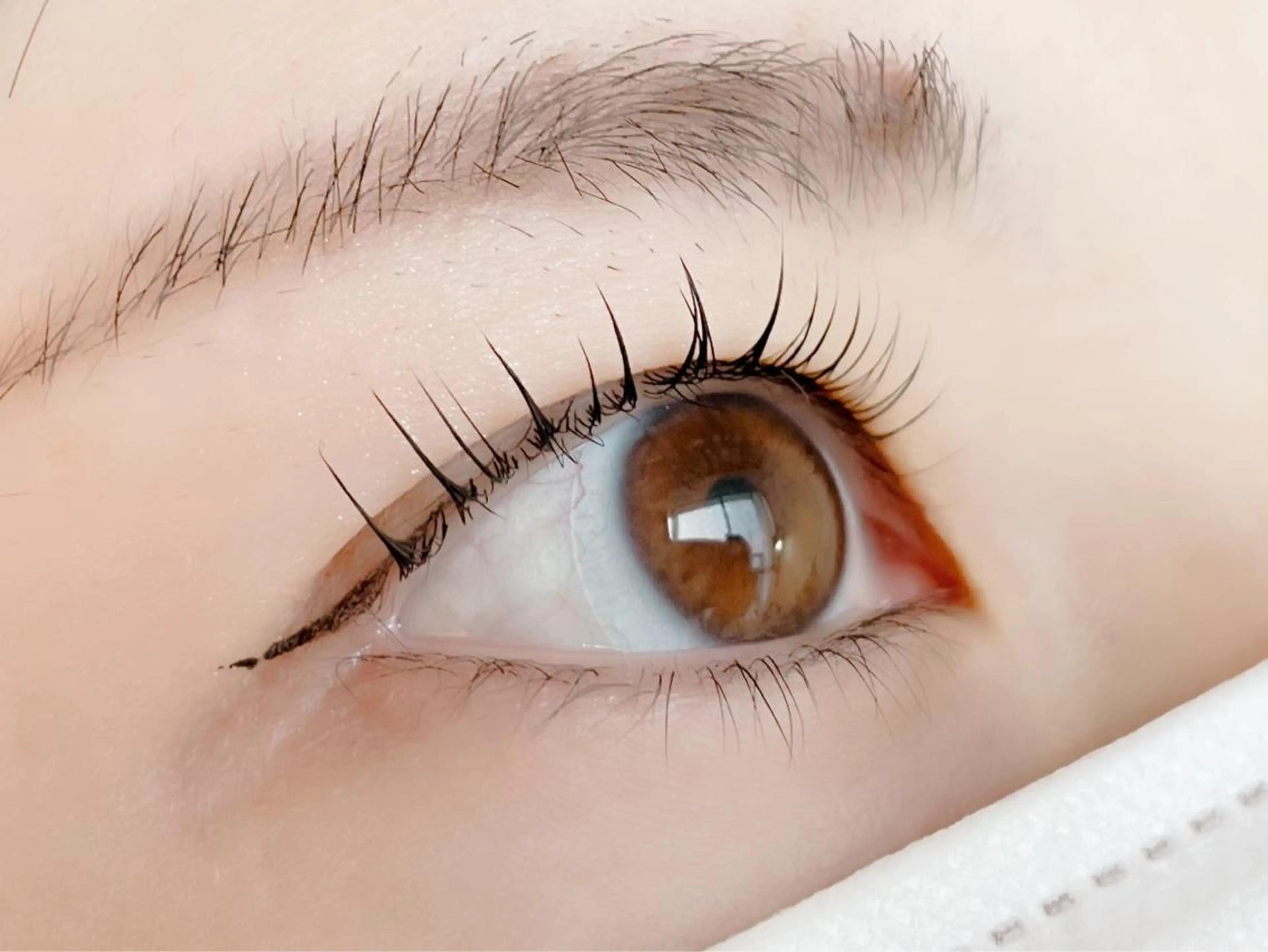 パーマ ダリアビューティー所属・LEDエクステ🫧 ダリアビューティーの眉毛・アイブロウイメージ