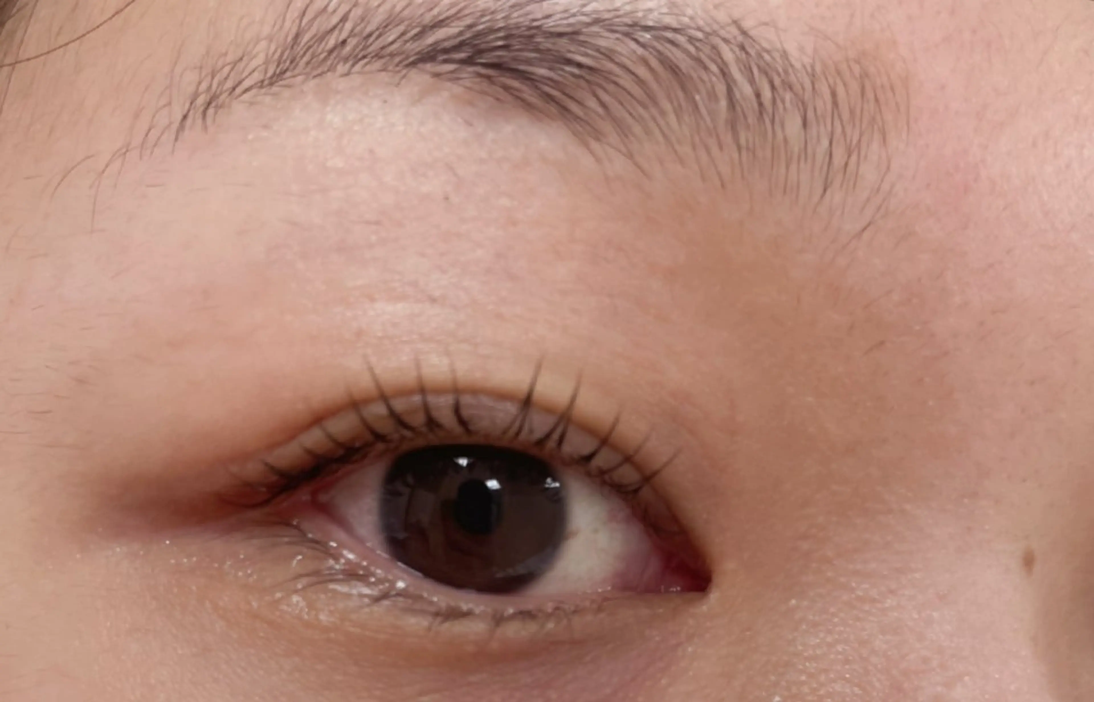 パーマ 森　アイラシュ (旧魅力総合サロン）のマツエク・マツパデザイン