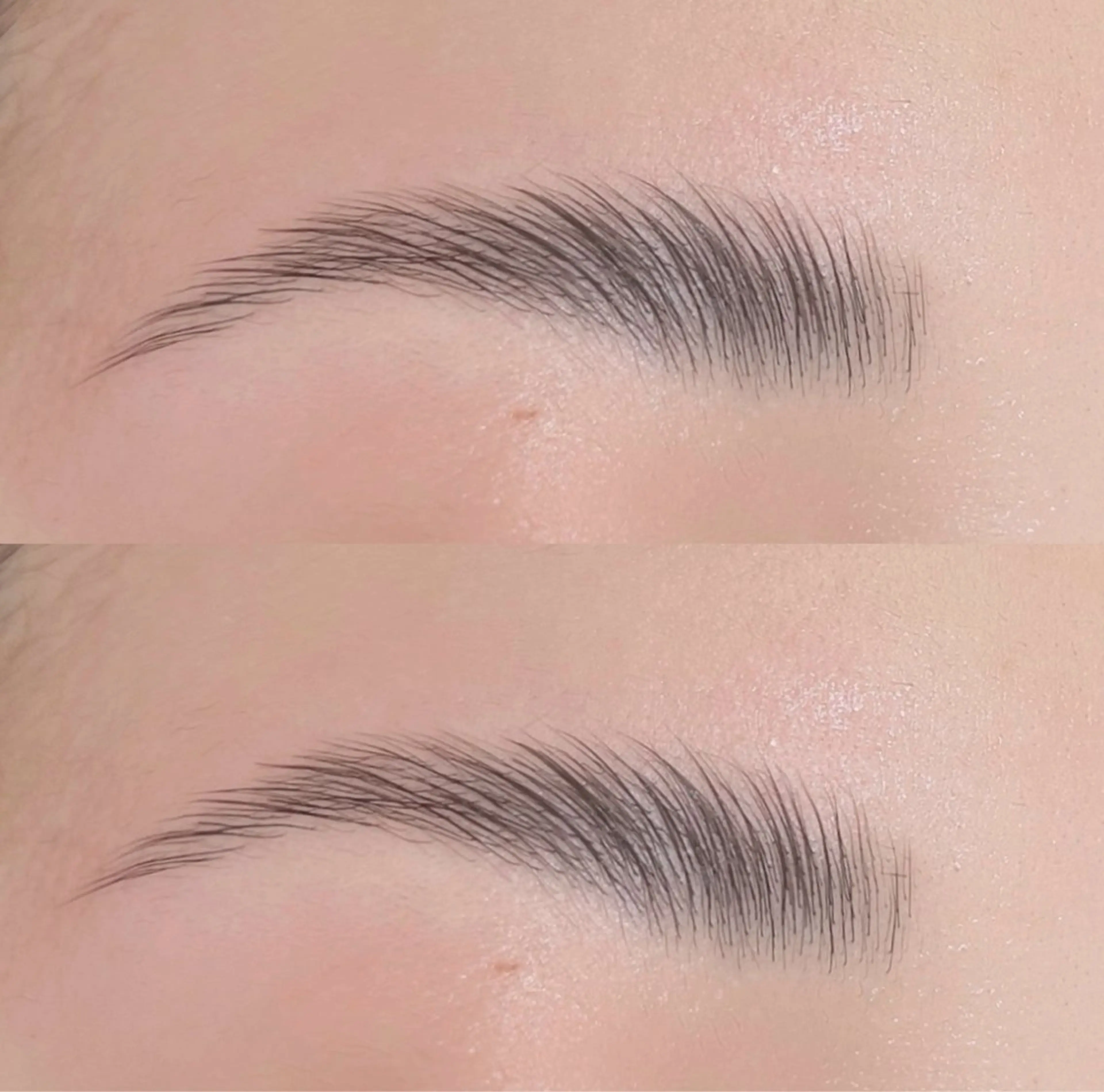 【新規🍓HBL（ﾊﾘｳｯﾄﾞﾌﾞﾛｳﾘﾌﾄ）】の写真