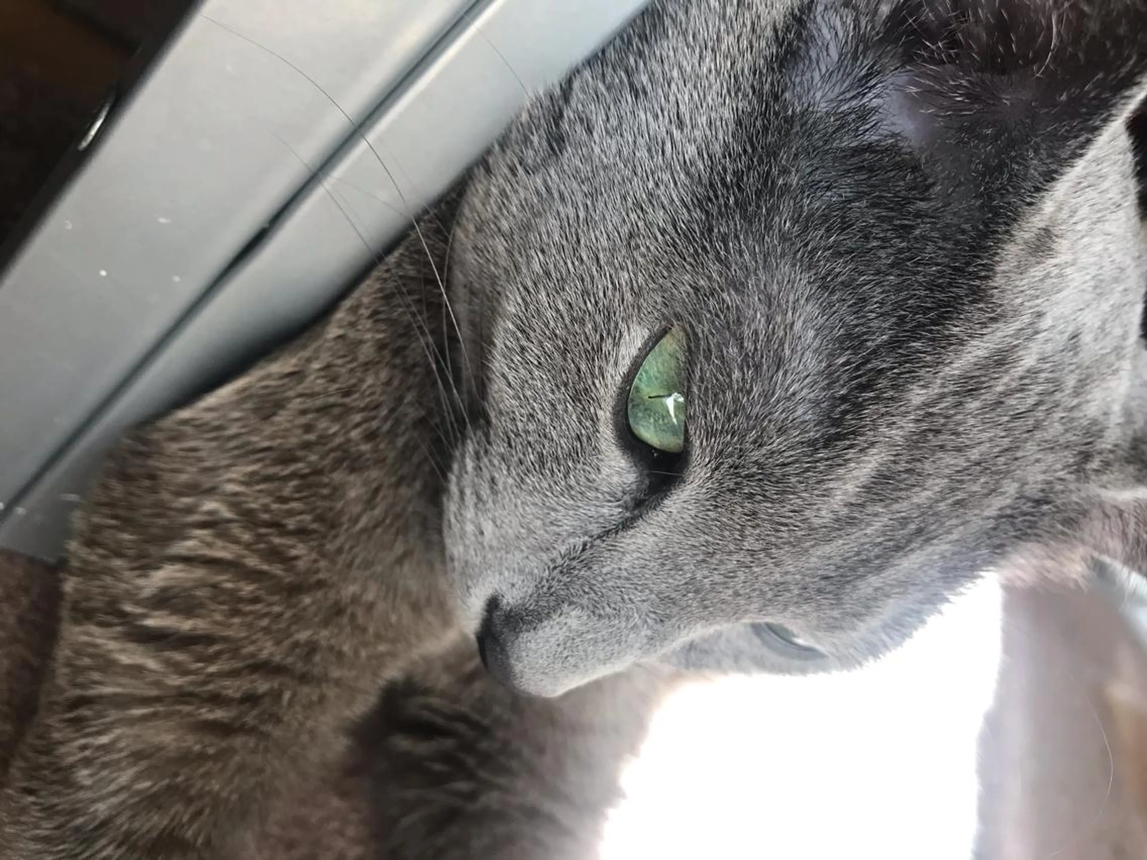 ショート カラー パーマ ヘアアレンジ メンズ キッズ ネイル マツエク・マツパ アニメ,Vオタク× 即効痩せエステサロンのエステ・リラクイメージ