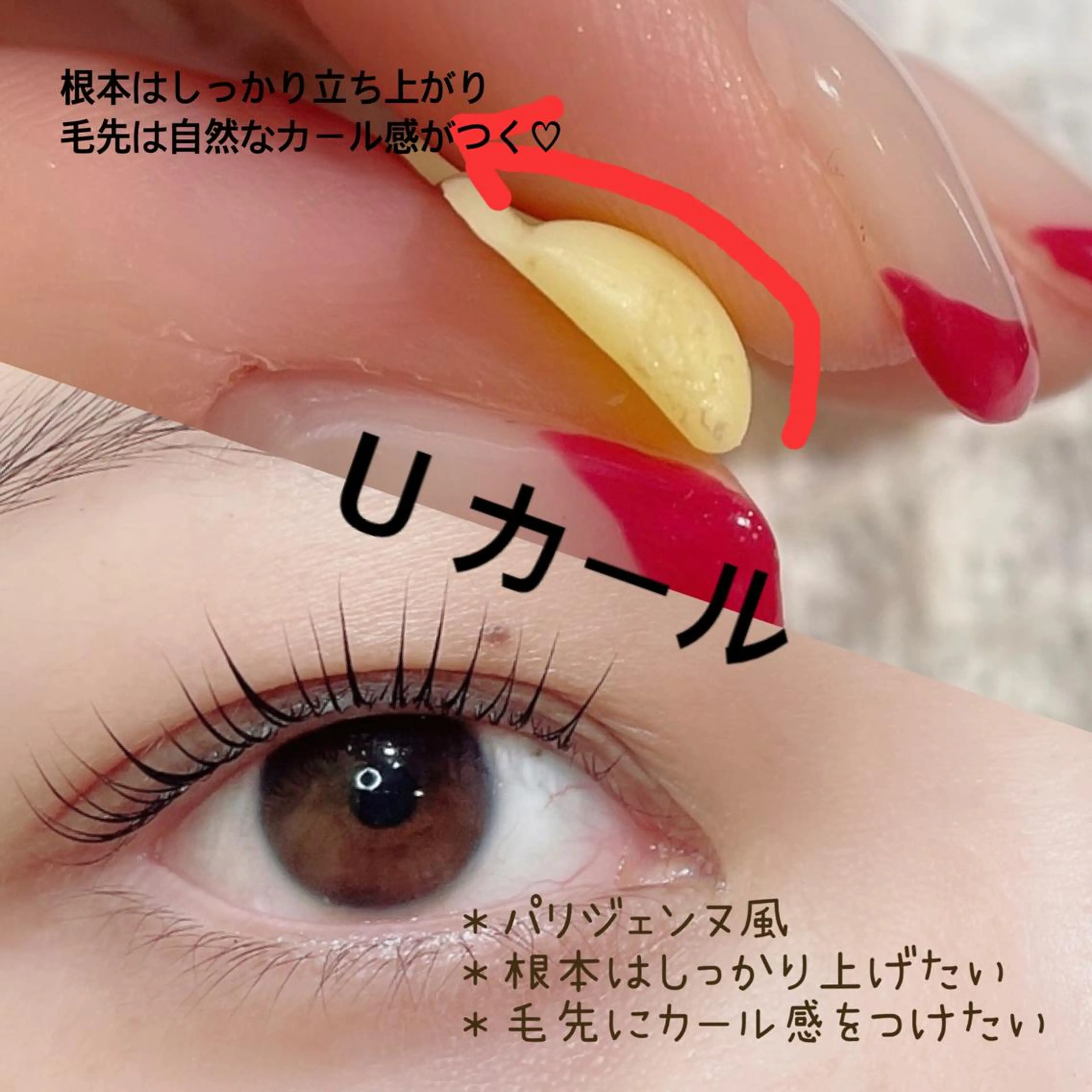 マツエク・マツパ パリジェンヌラッシュリフト 一重×まつ毛パーマ マツパ SEALA 高石店所属・SEALA 高石の眉毛・アイブロウイメージ