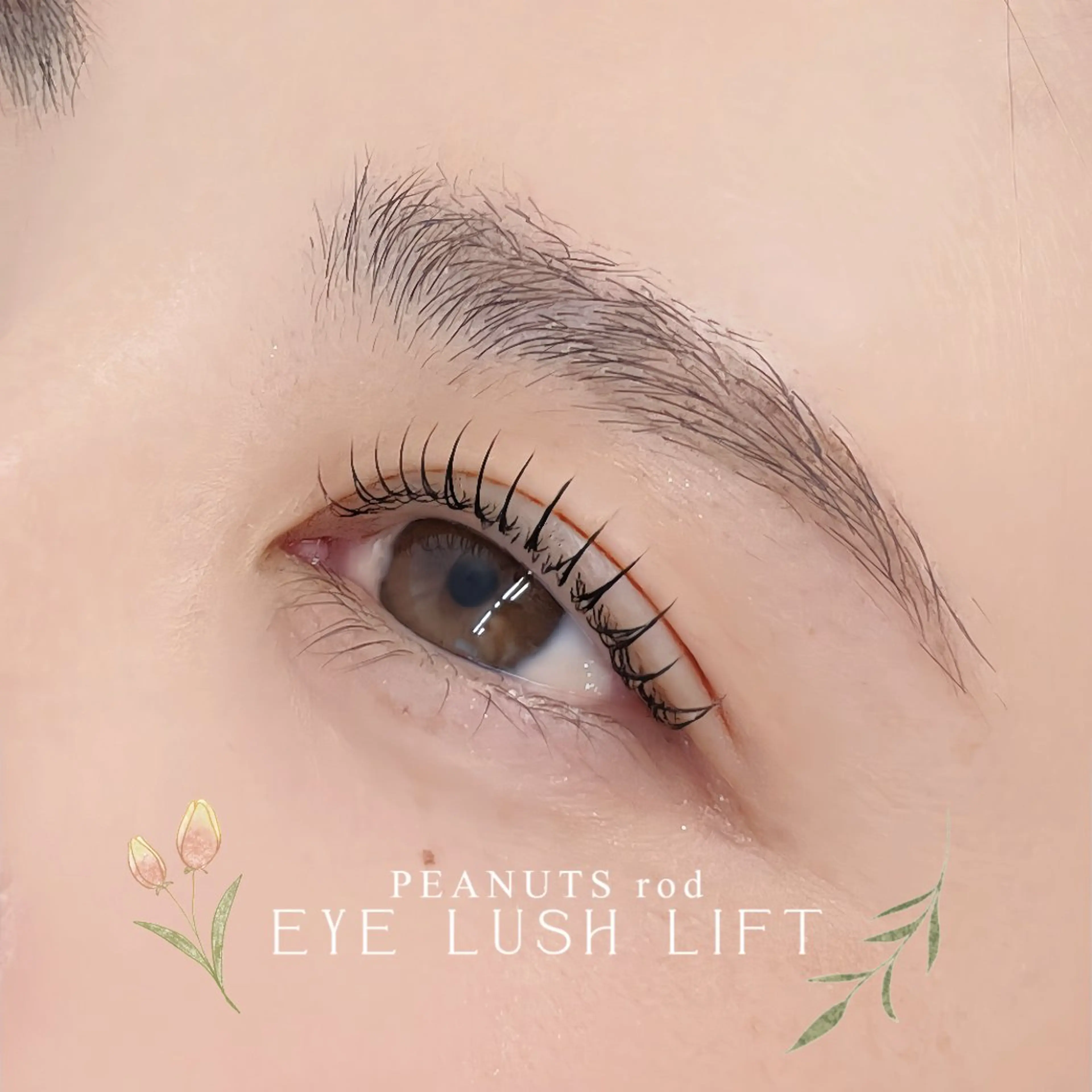 マツエク・マツパ フラットラッシュ 韓国風マツエク パリジェンヌラッシュリフト まつげパーマ 一重×まつ毛パーマ マツパ mai /マツパ.眉のマツエク・マツパデザイン