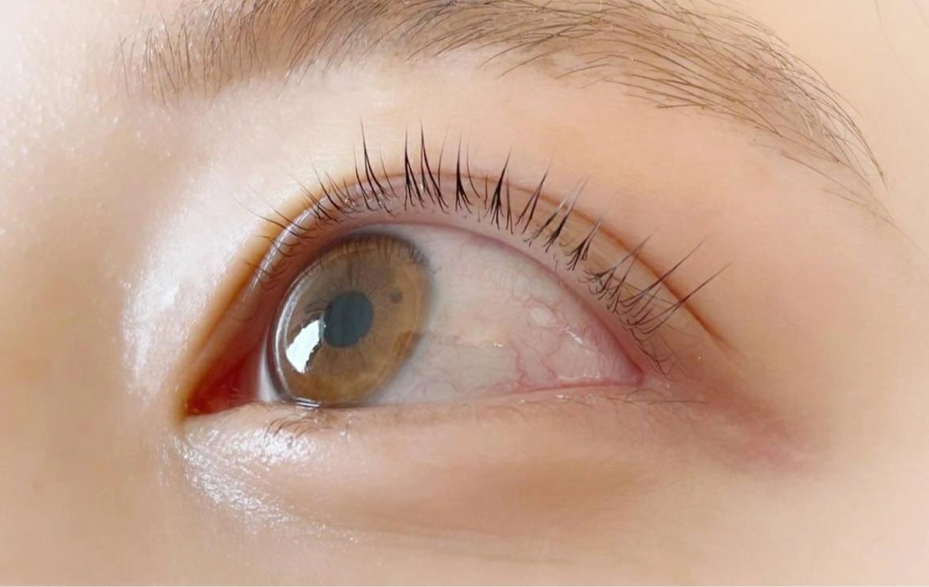 マツエク・マツパ パリジェンヌラッシュリフト Fairytail excellentのマツエク・マツパデザイン