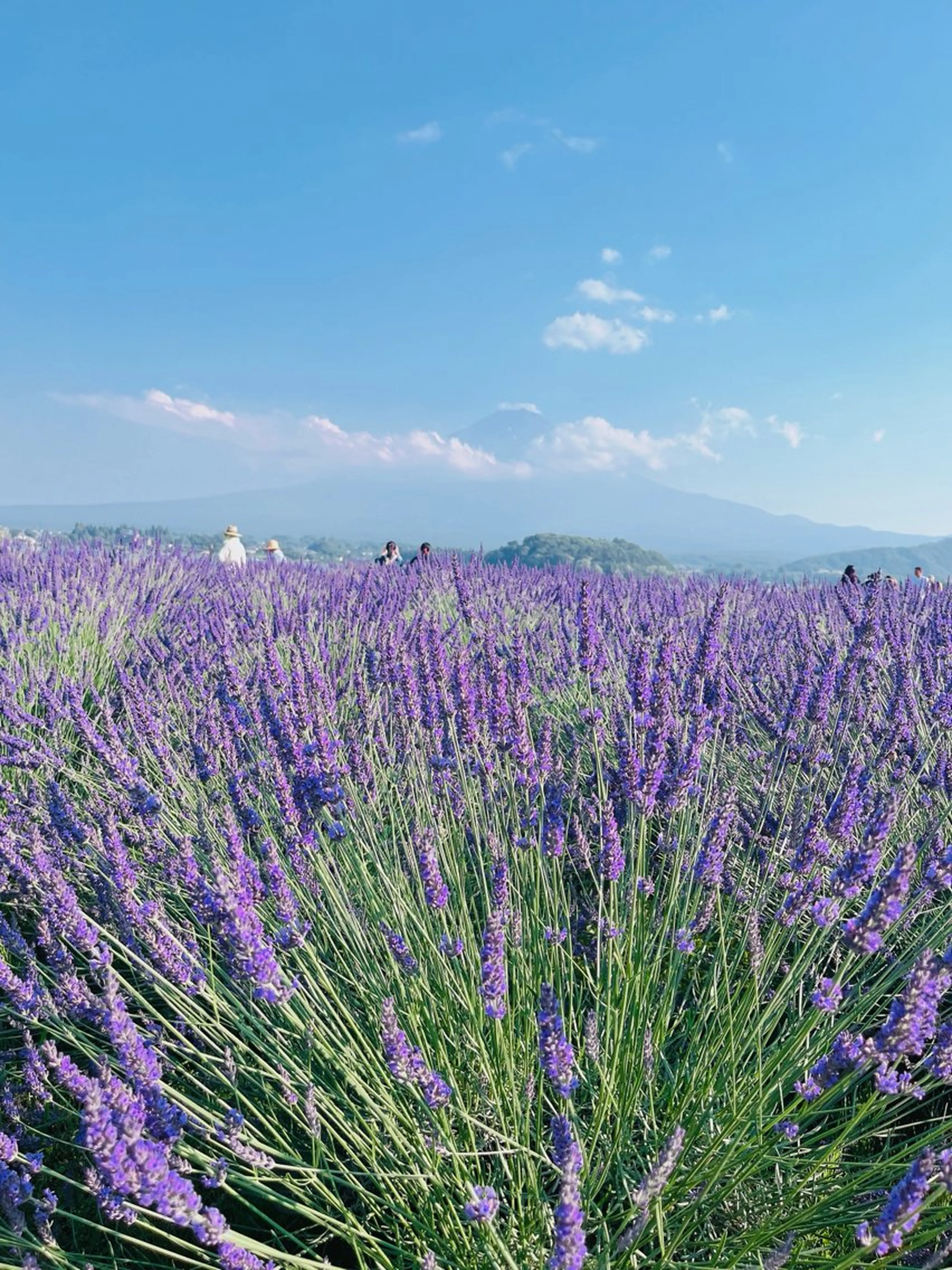 ViNAIL Kouのネイルデザイン