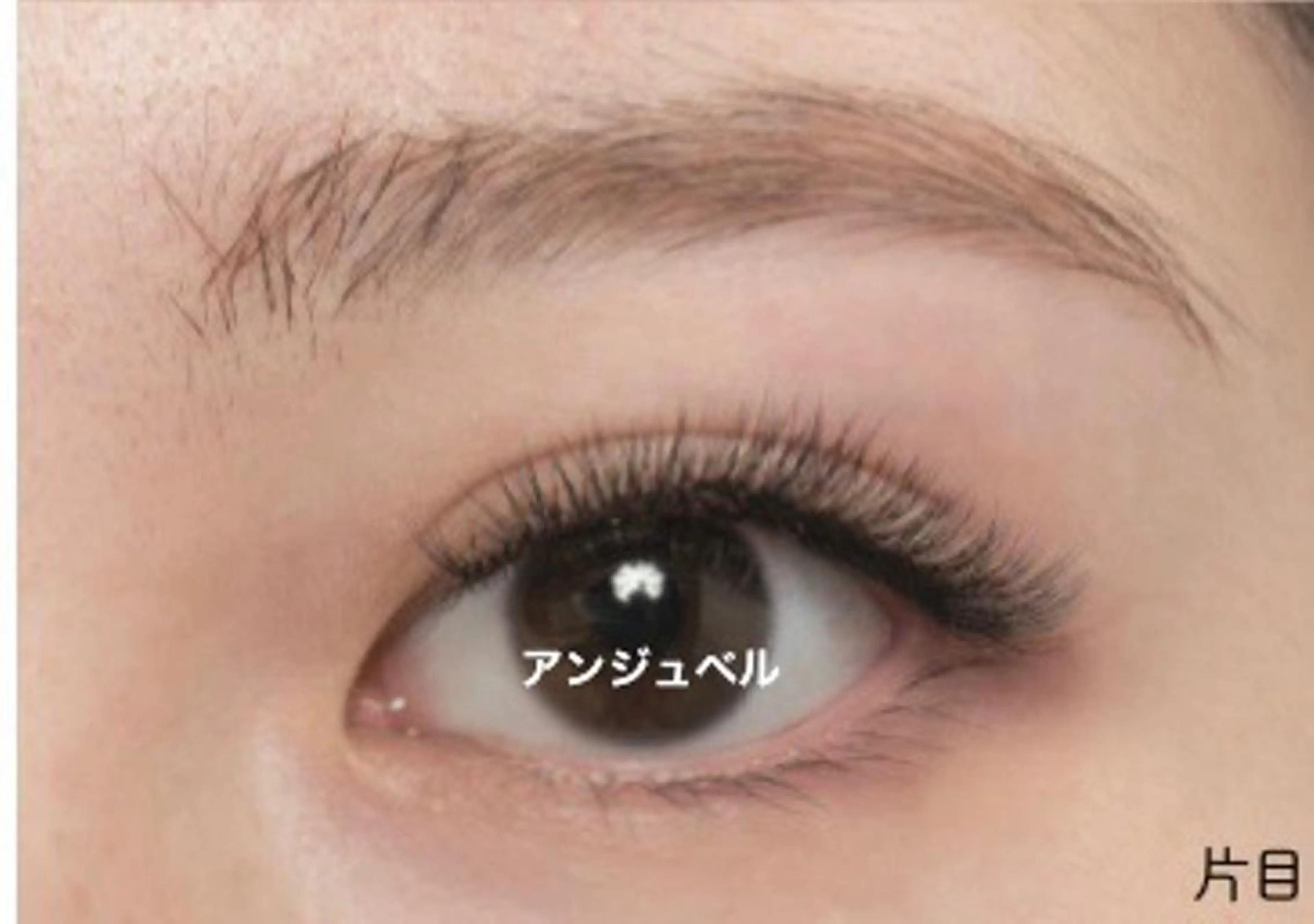 マツエク・マツパ ボリュームラッシュ マツエク専門 Angenbelleのマツエク・マツパデザイン