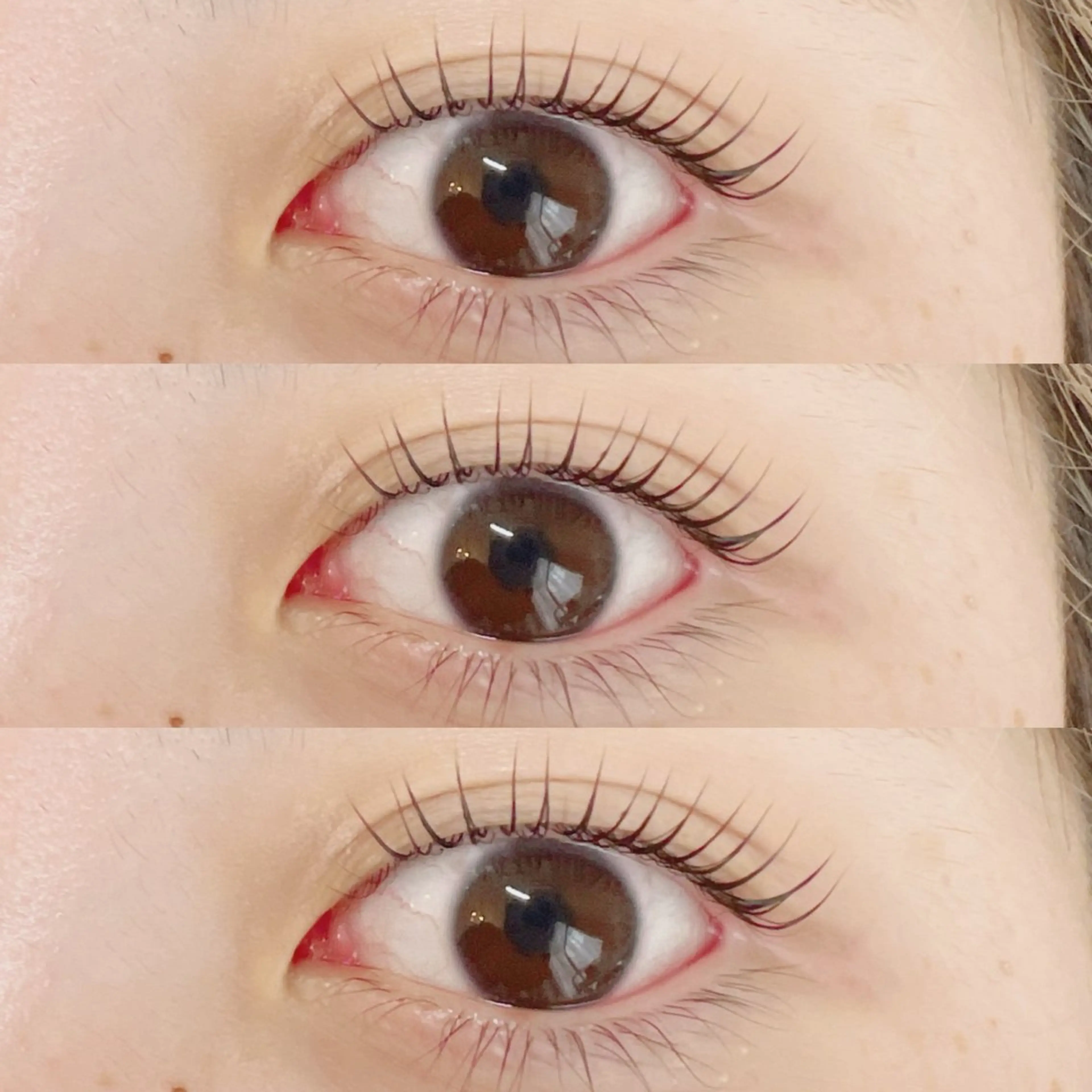 次世代【まつ毛パーマ】オフ込/コーティング付☘️の写真