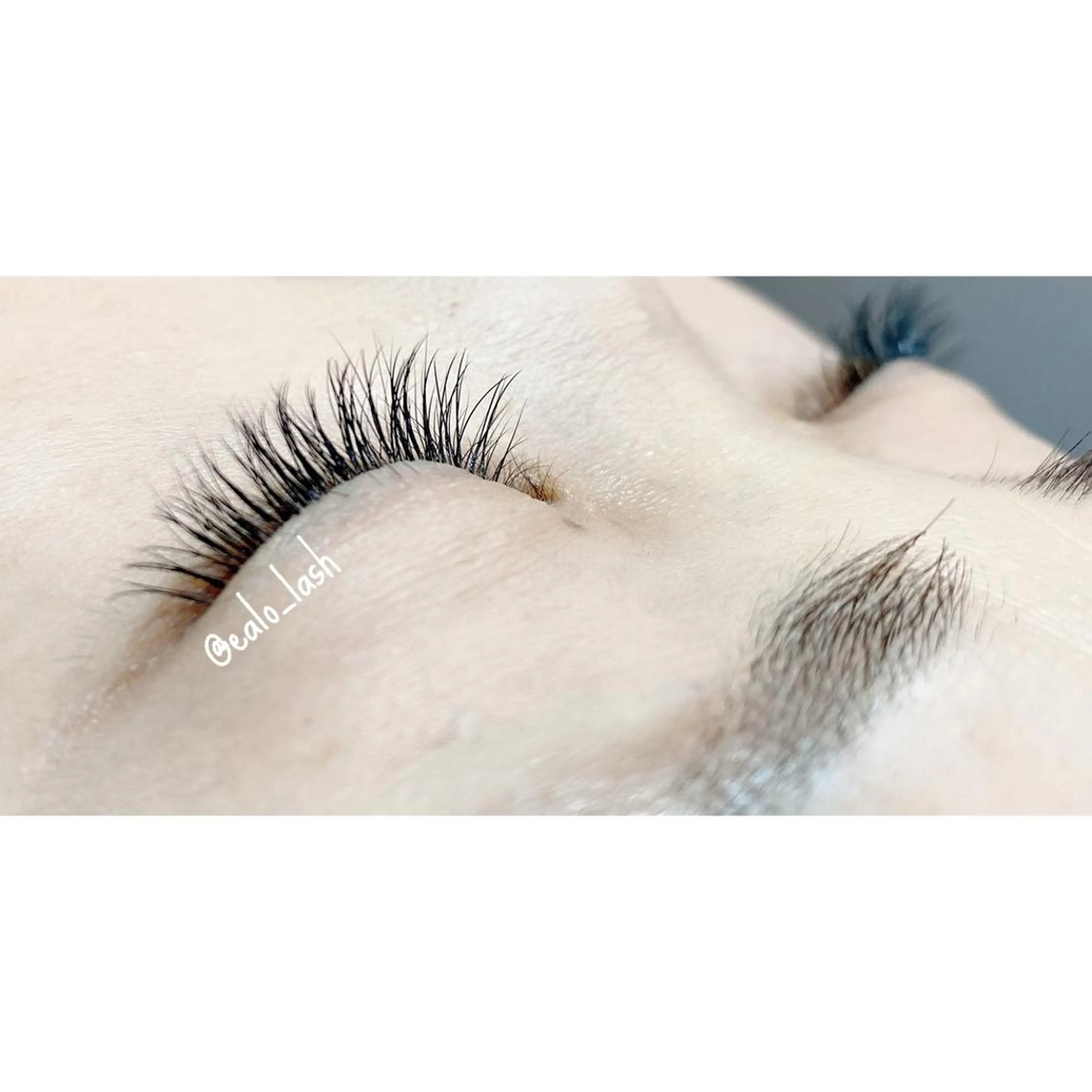 《新規》フラットラッシュ100本の写真