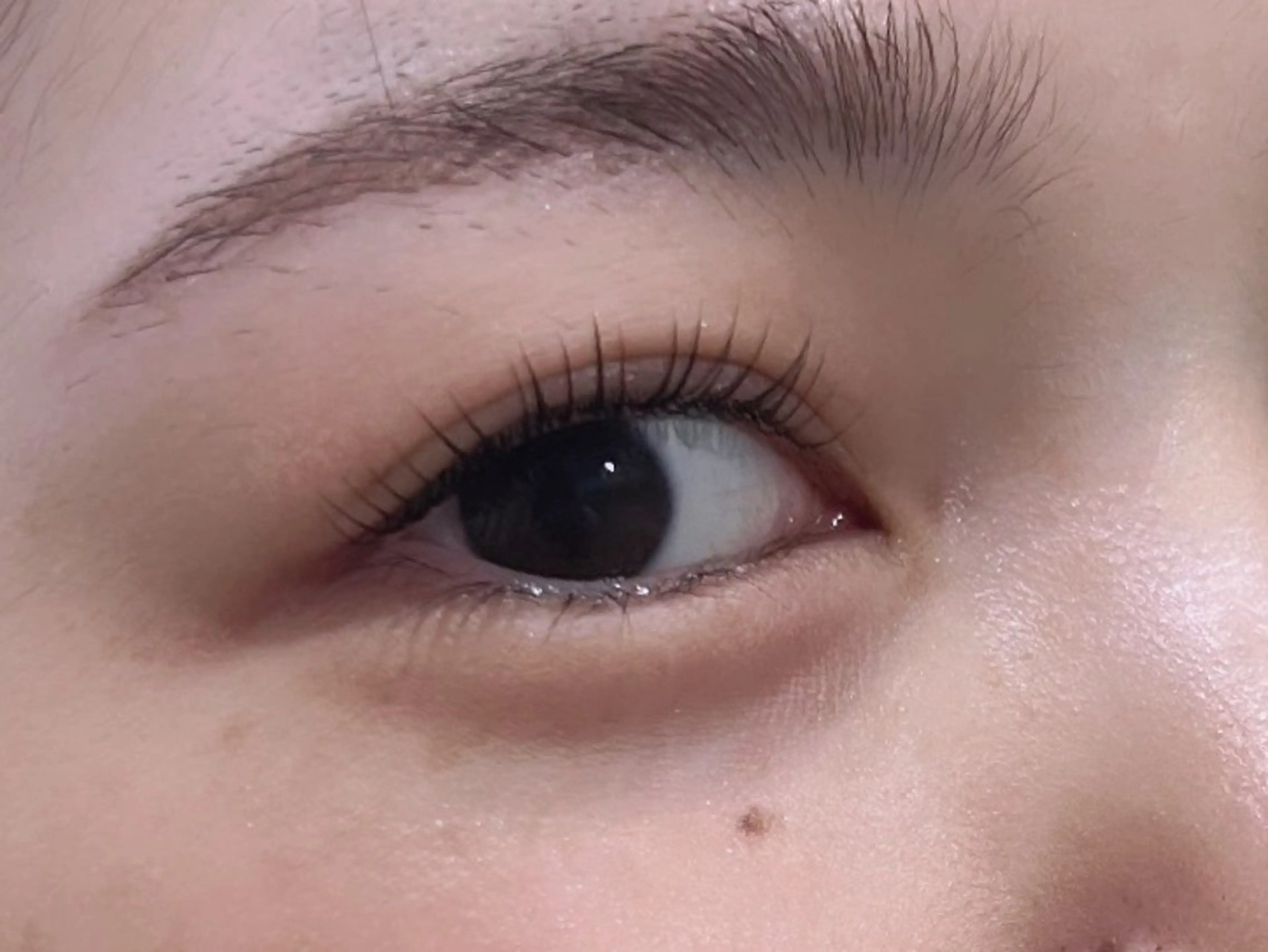 マツエク・マツパ _i（hair & eye）所属・アイリスト SHIORIのマツエク・マツパデザイン