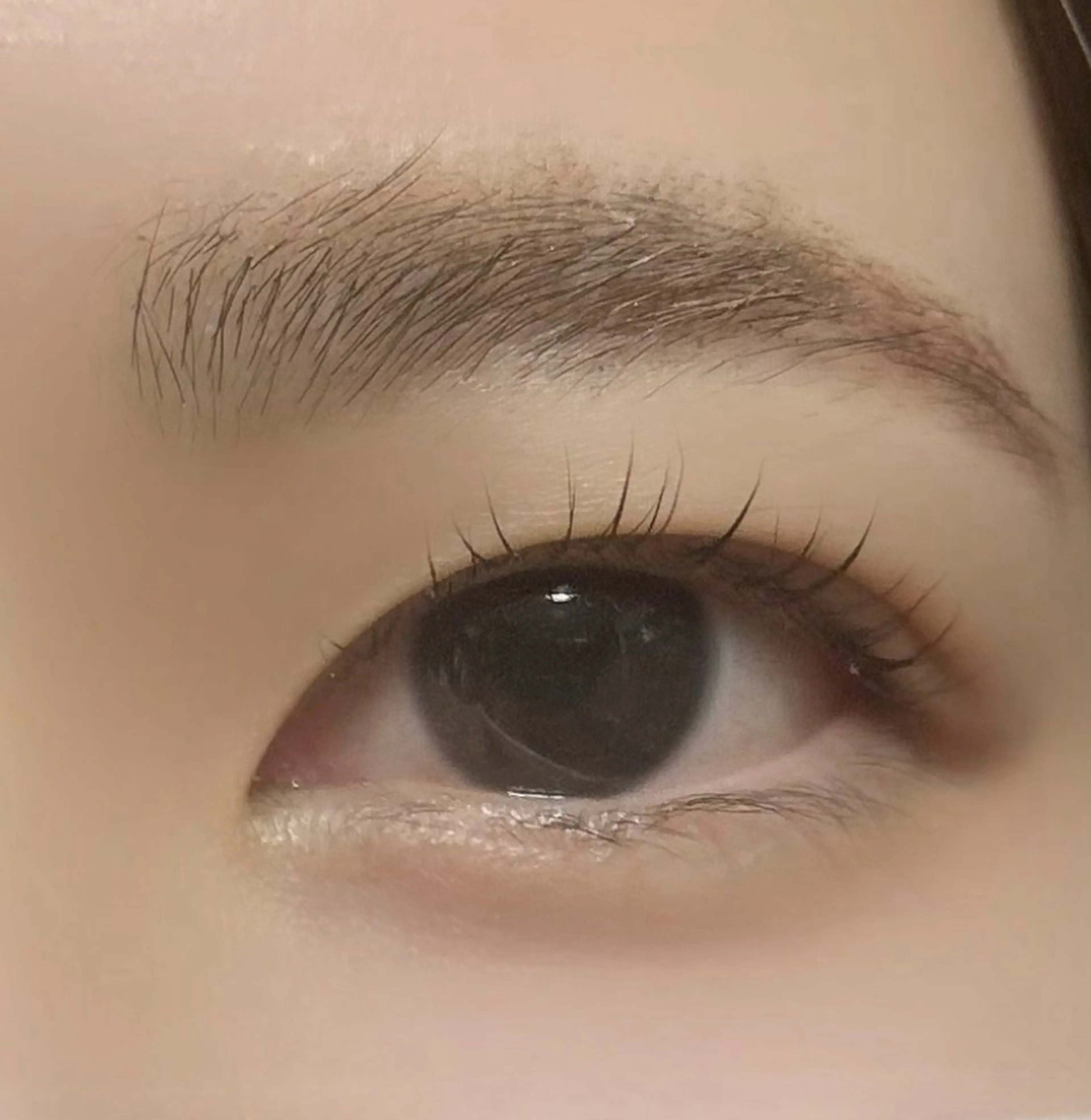 マツエク・マツパ ナチュラル Dazzle beauty所属・Dazzle あいりのマツエク・マツパデザイン