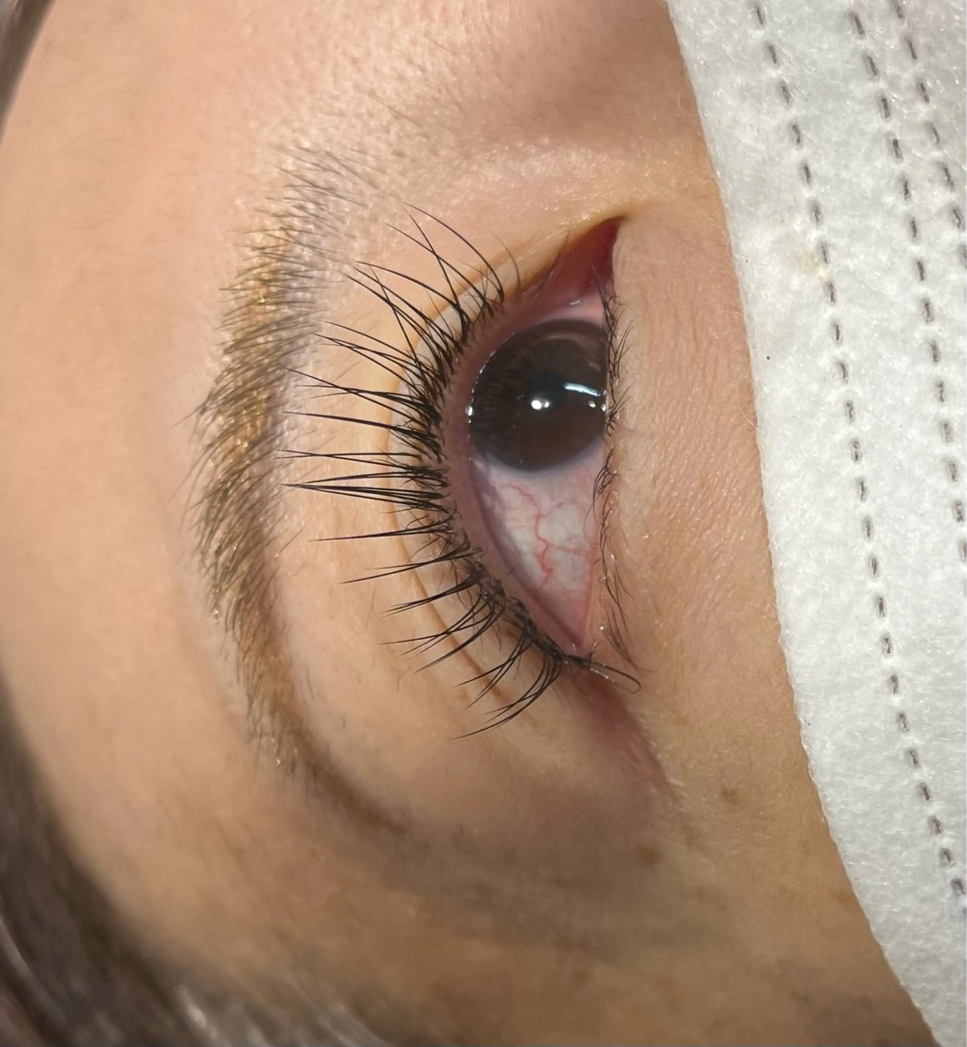 マツエク・マツパ シルク MAQUIA蒲田店 横山のマツエク・マツパデザイン