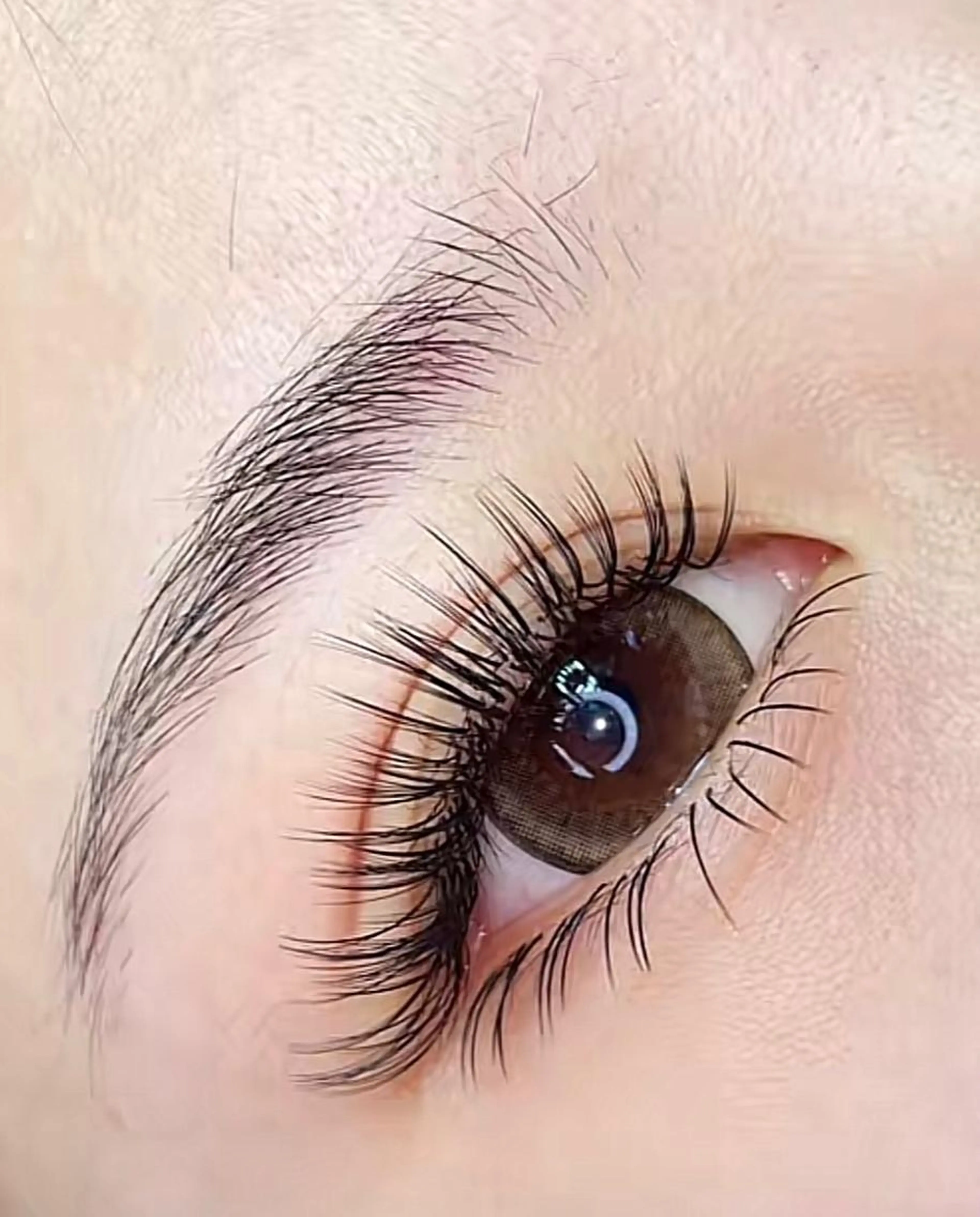 🧚‍♂️人気 👍3Dボリュームラッシュ付け放題🧚‍♂️の写真