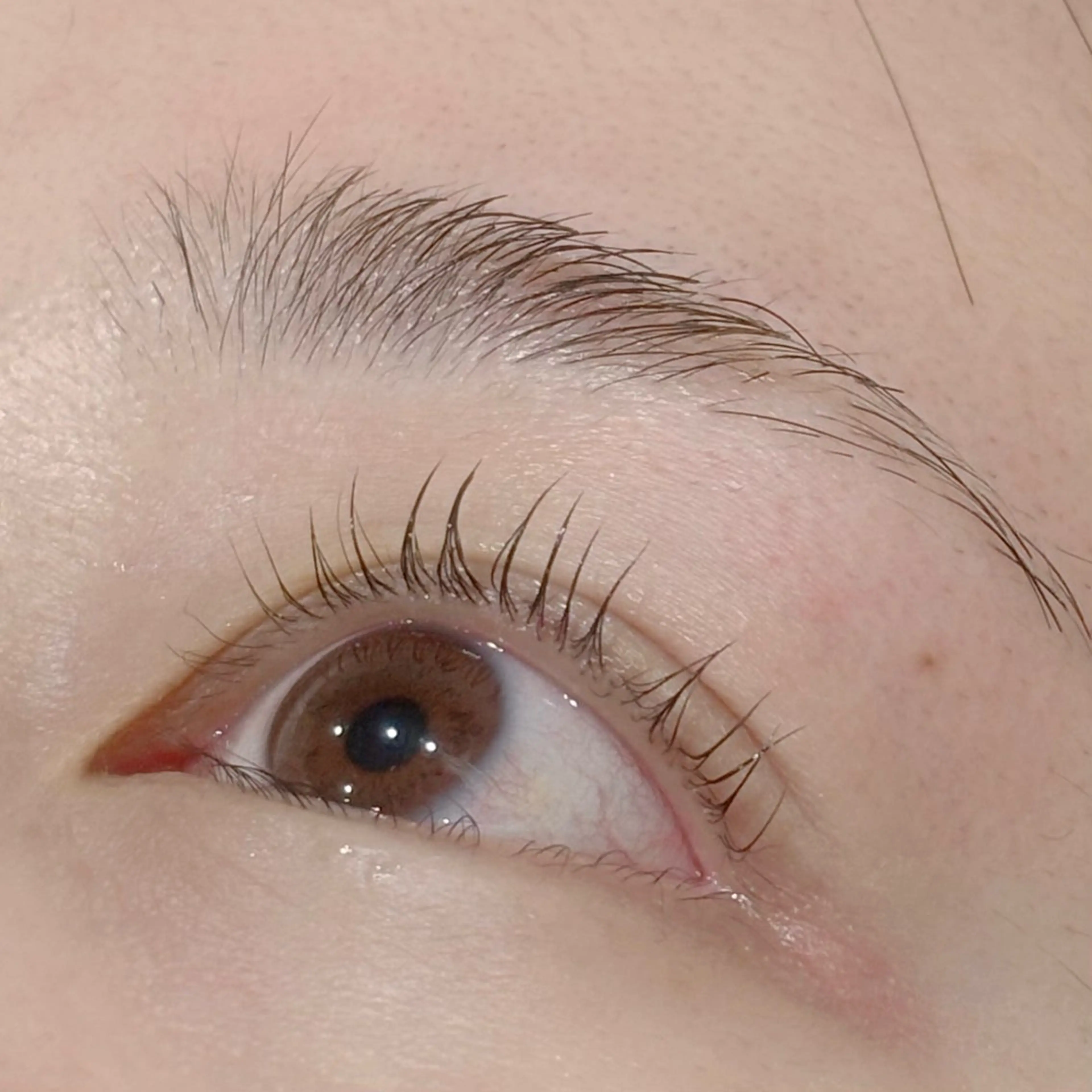 マツパ/ラッシュリフト2回目以降¥6600→4400の写真