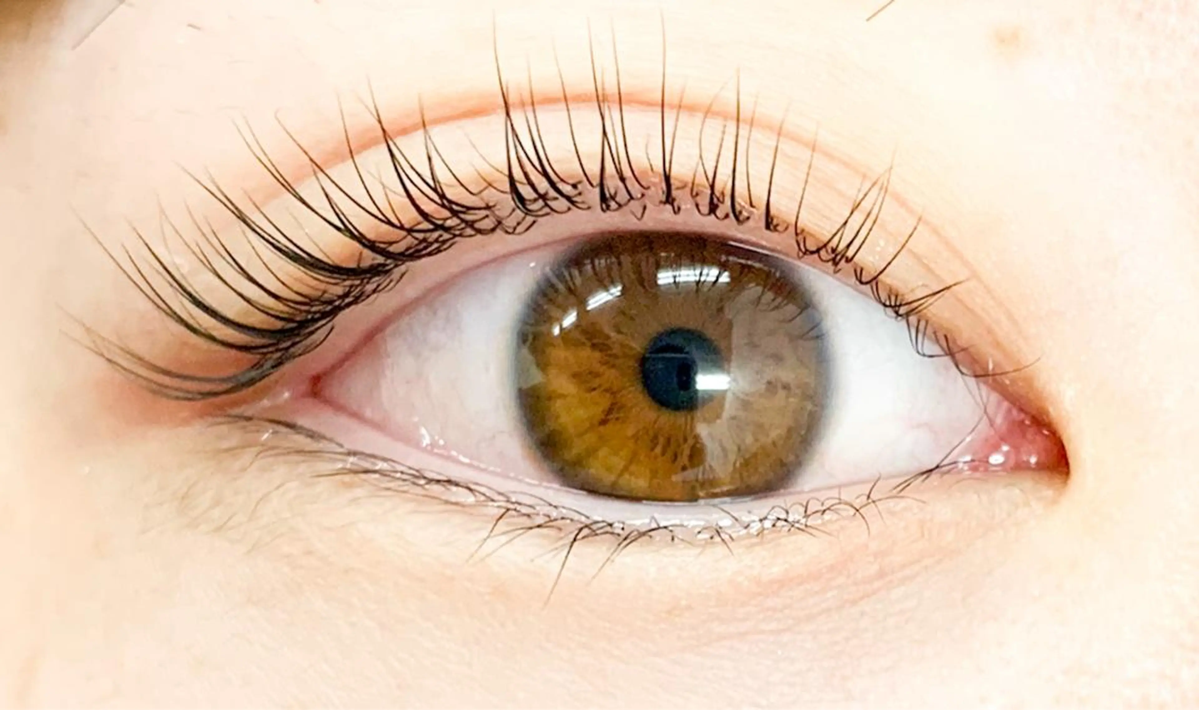 マツエク・マツパ 小針 桃子の眉毛・アイブロウイメージ