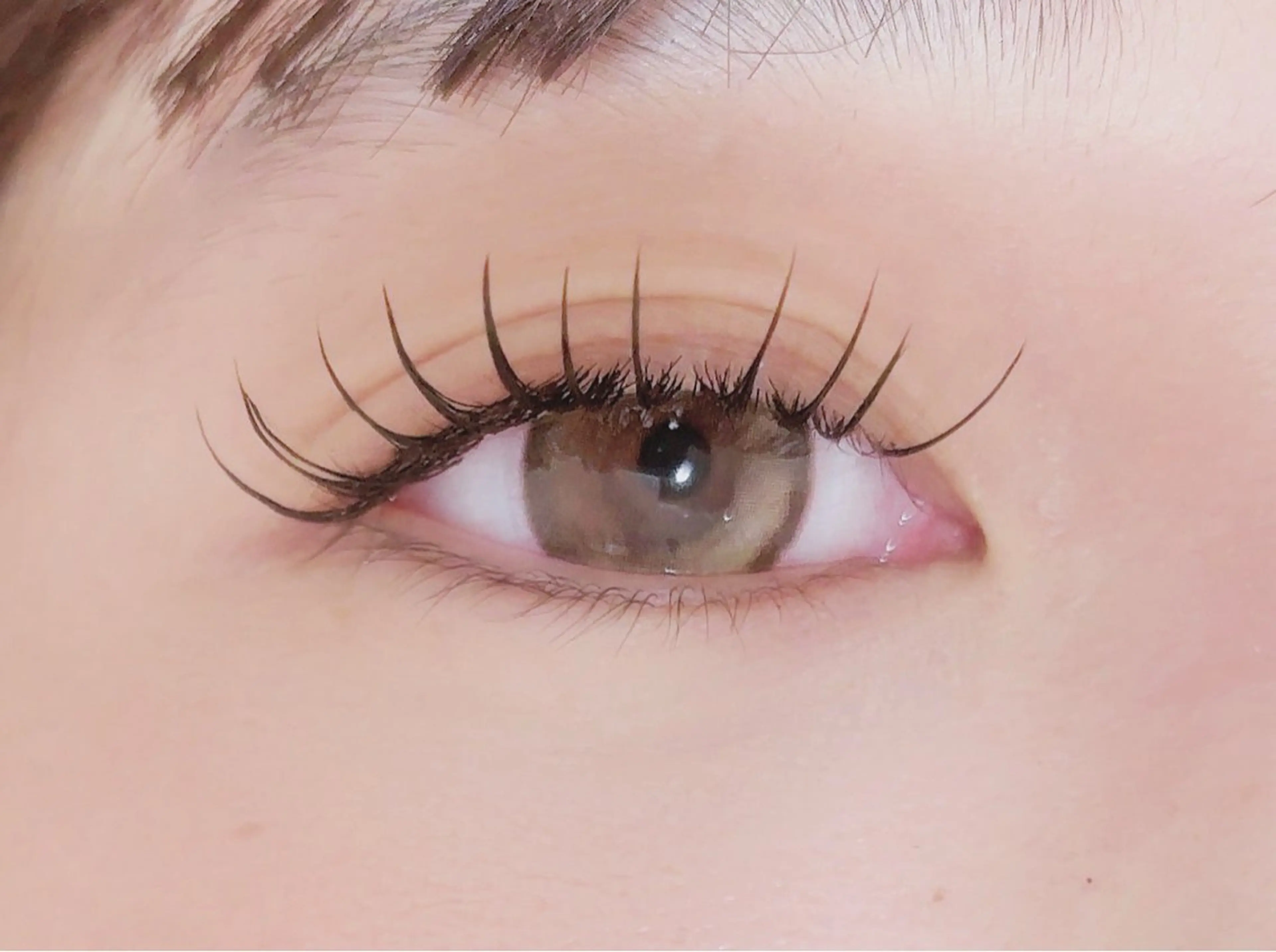 【ご新規様限定】フラットラッシュ100本🌷（オフ、コーティング込み）の写真
