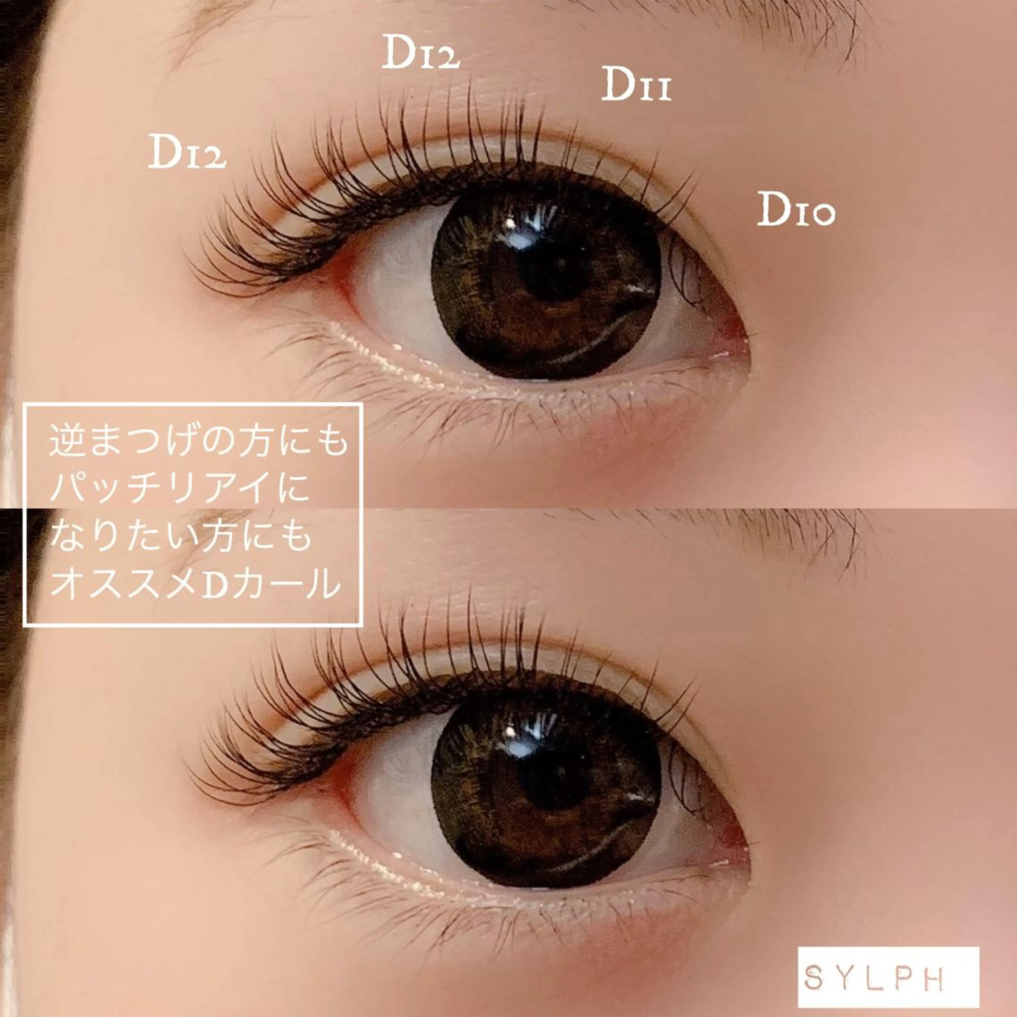 １２月限定価格🐾【ご新規様価格限定】🧚🏻‍♂️フラットラッシュ120本付け放題（オフ込み）¥6600→¥4400の写真