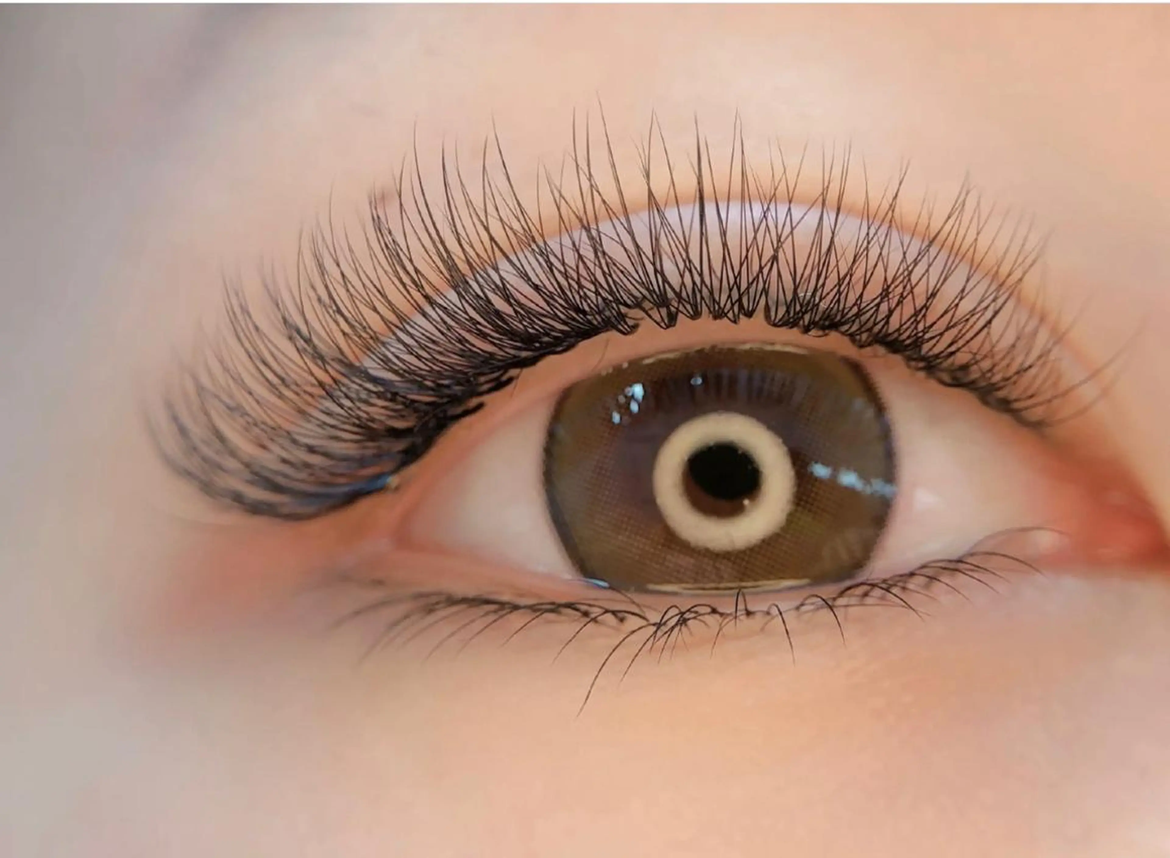 🔆ボリュームラッシュ400本5900.600本6900🔆新規オフ込みの写真