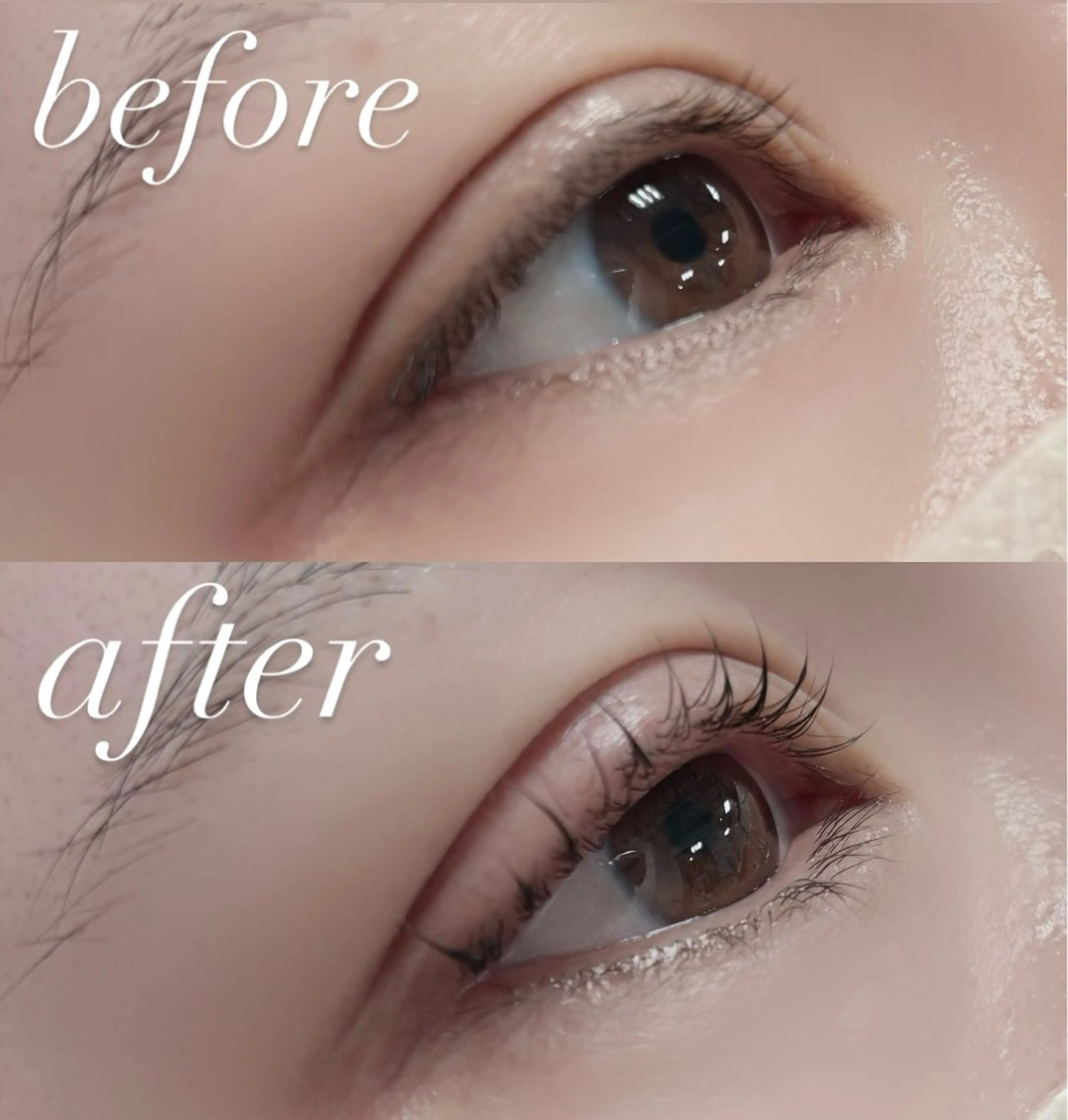 マツエク・マツパ マツパ 🏵️tico@ Risa🏵️のエステ・リラクイメージ