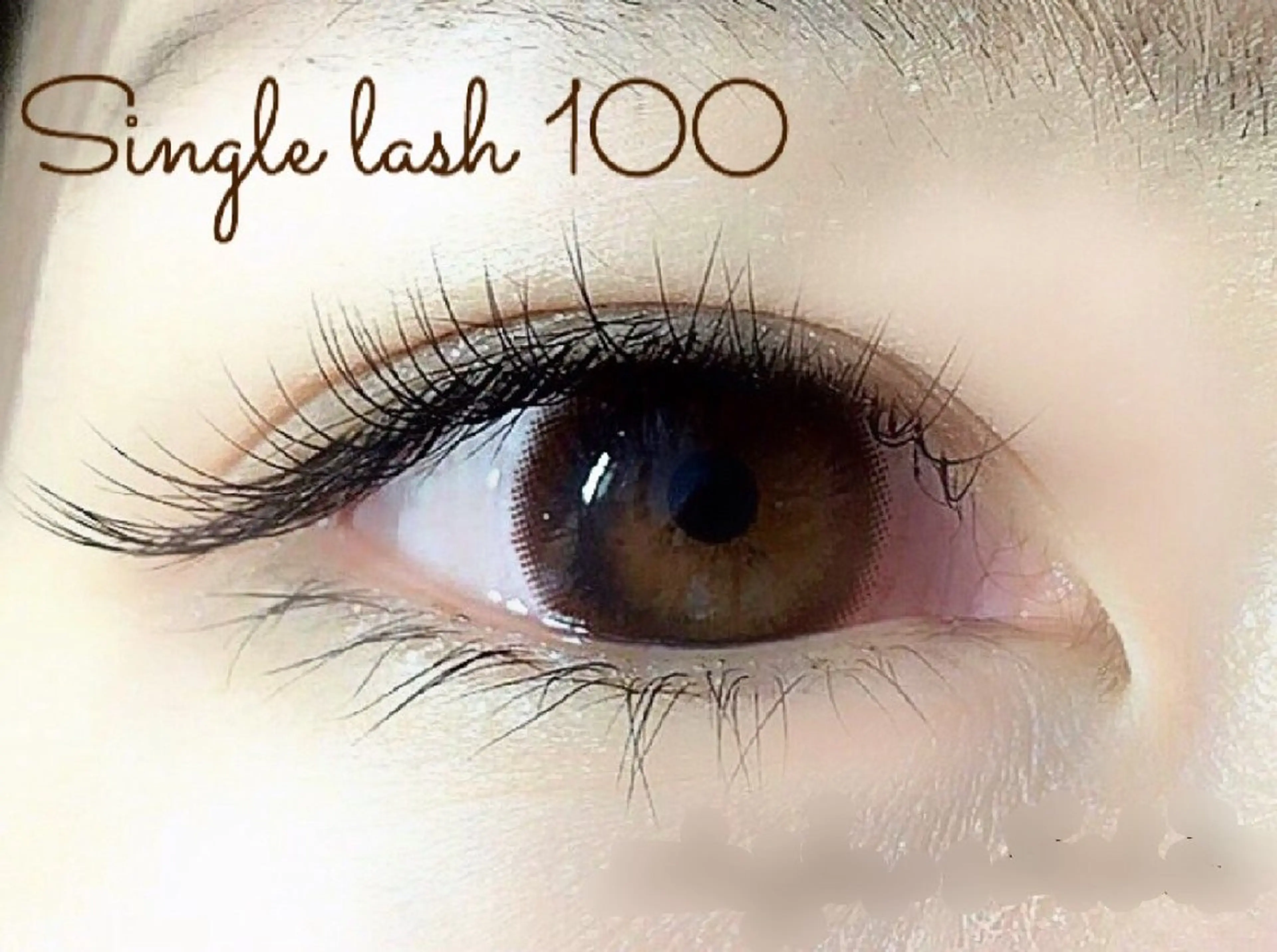 期間限定❇️フラットラッシュ100本の写真